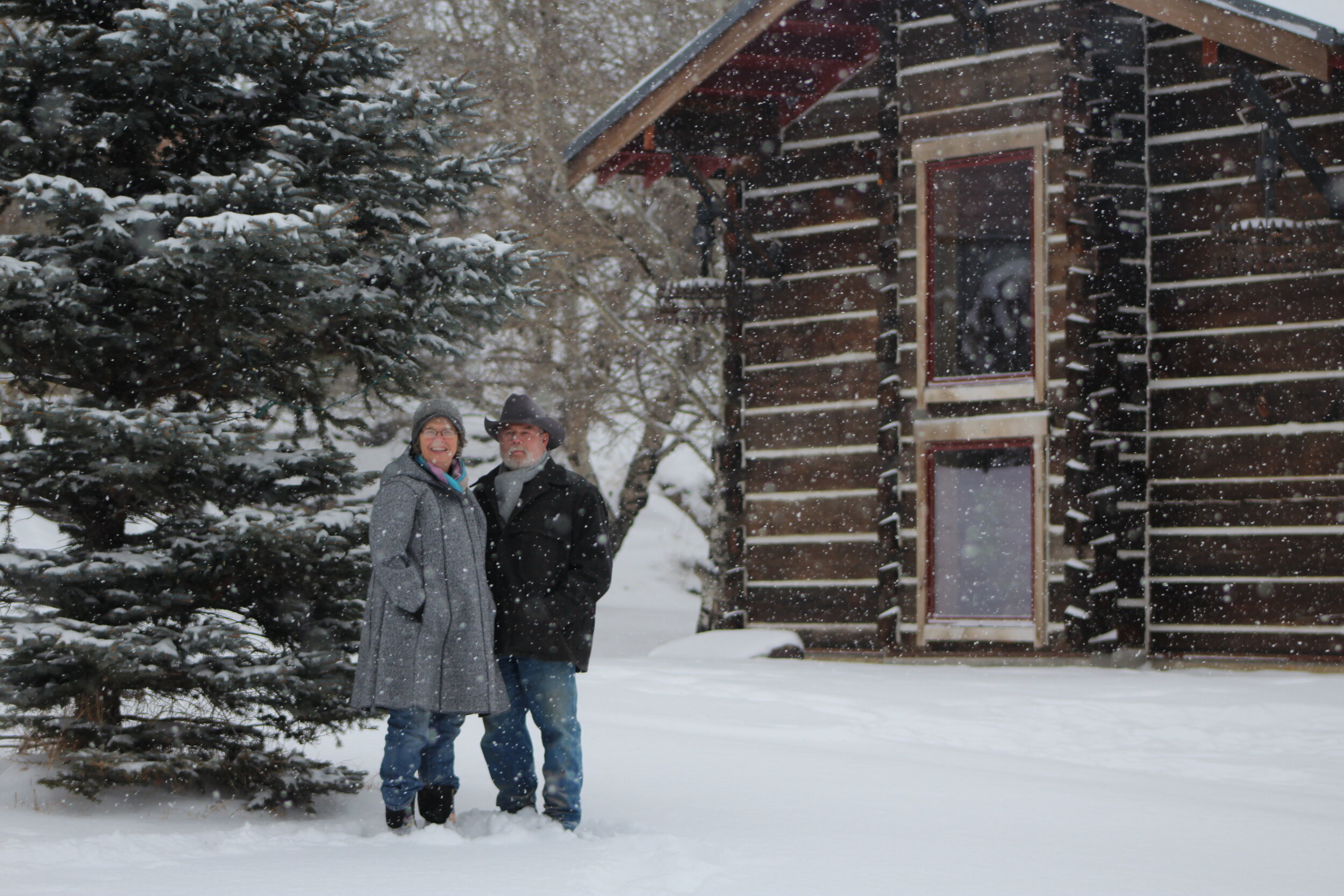Renovations and the New Great Room