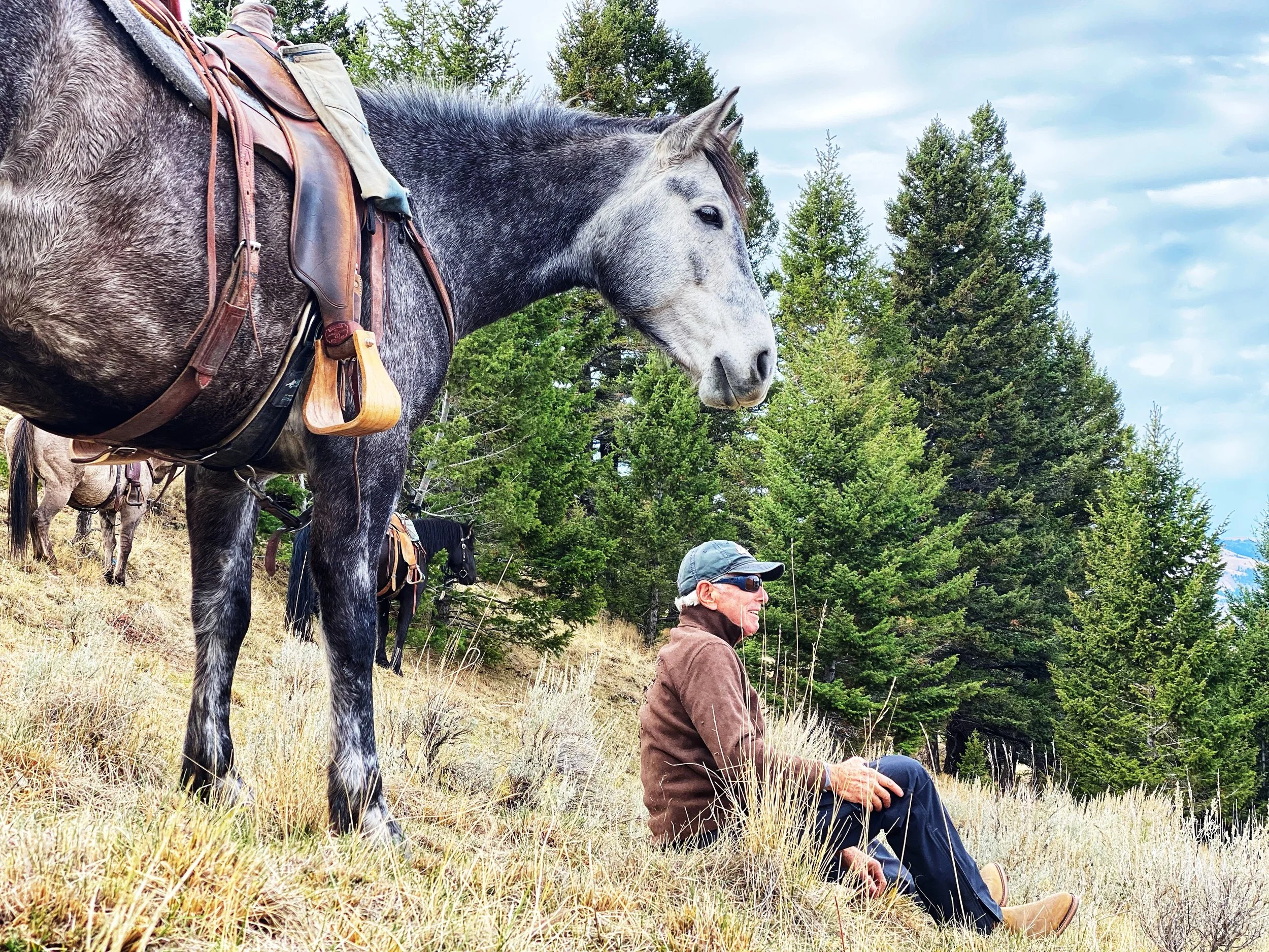 Rocking Z Guest Ranch