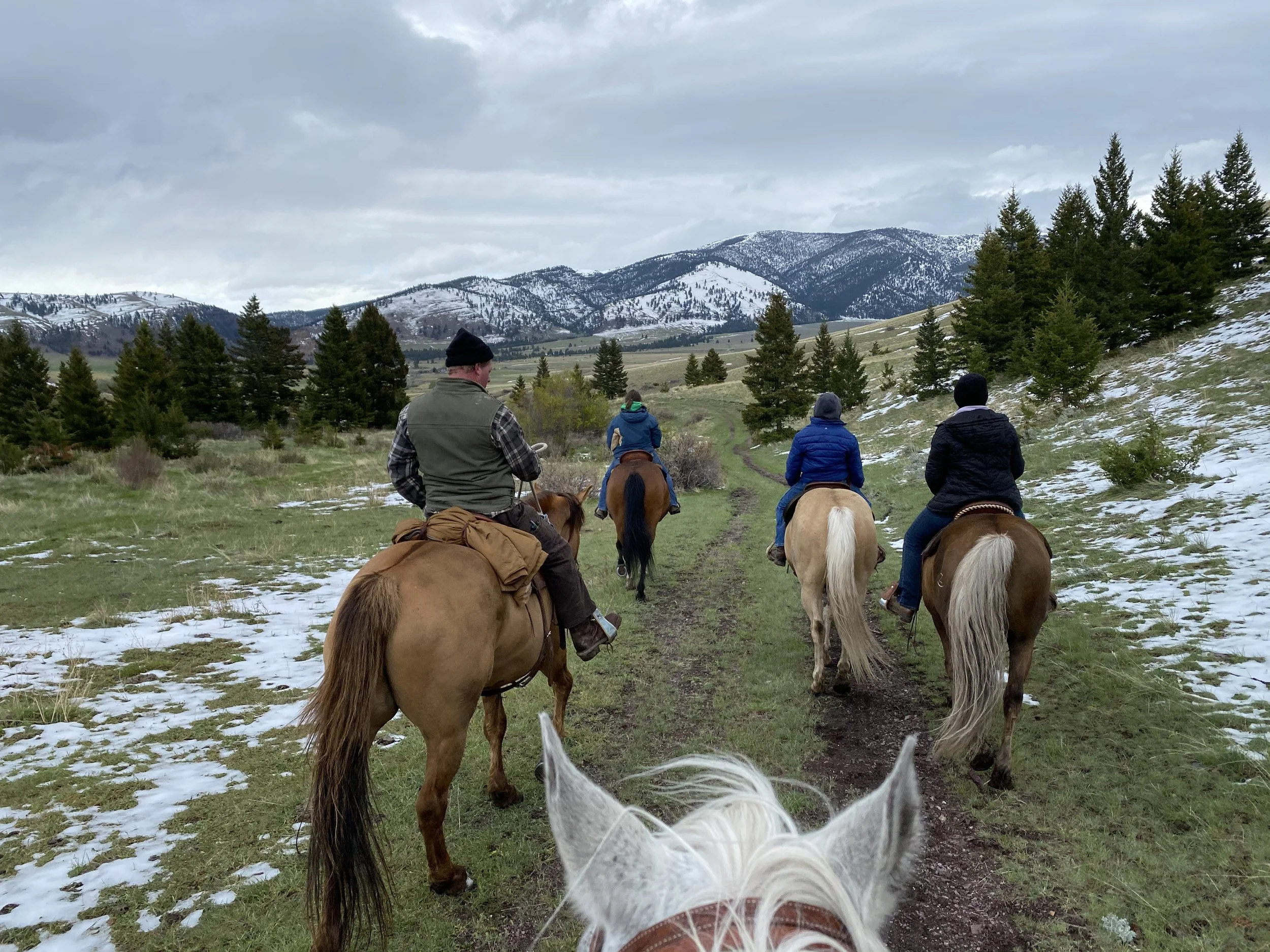 Riding — Rocking Z Guest Ranch