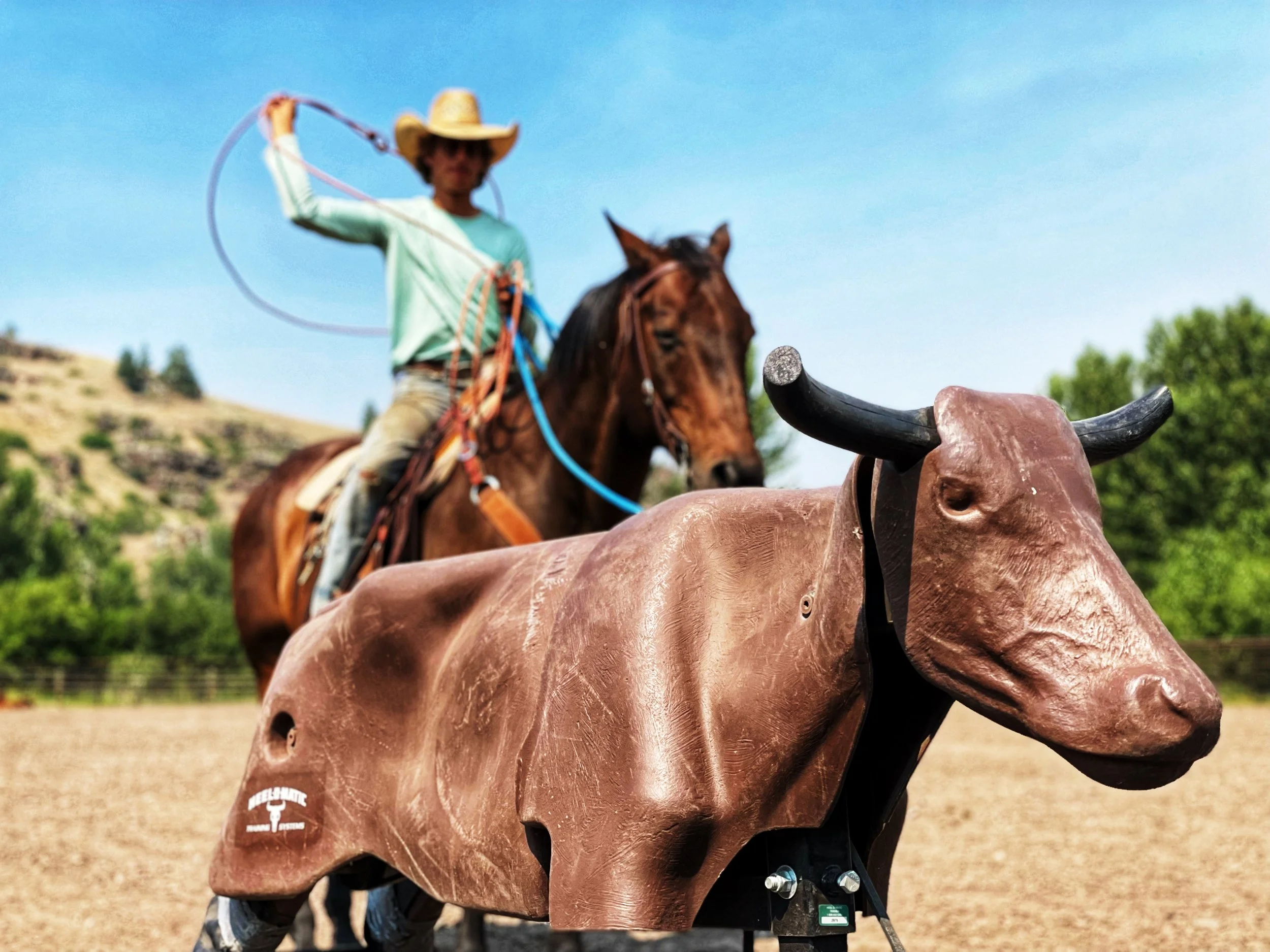 Rocking Z Guest Ranch