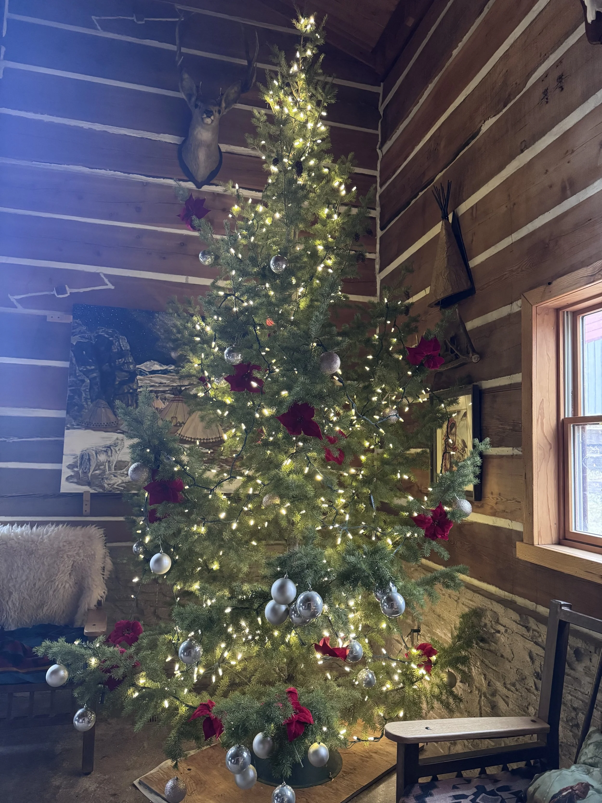 2025 Christmas Letter