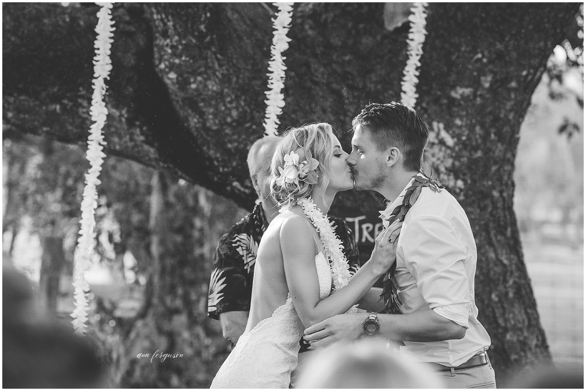 Ann Ferguson Photography