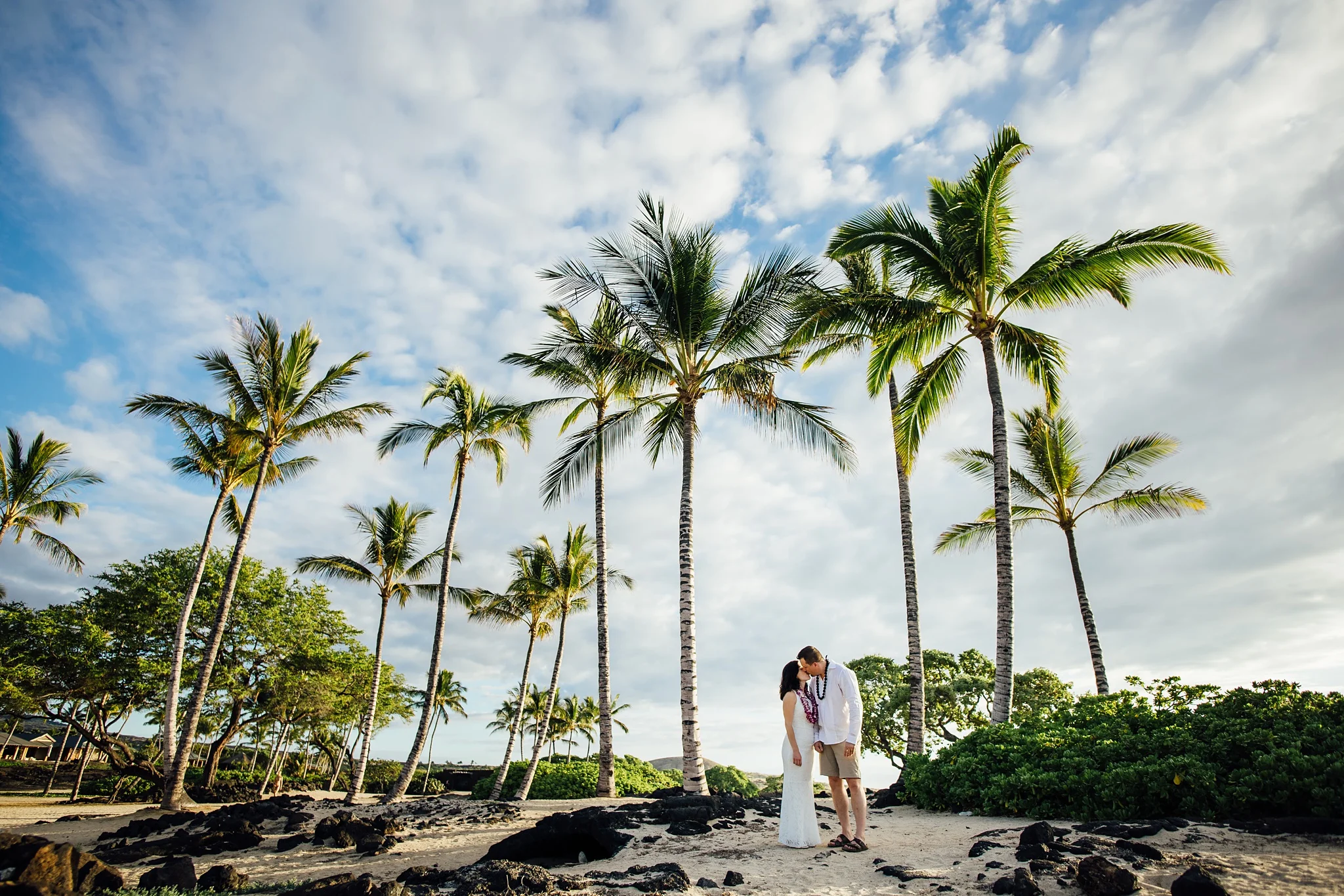 Palms tree backdrop during a wedding day on the Big Island