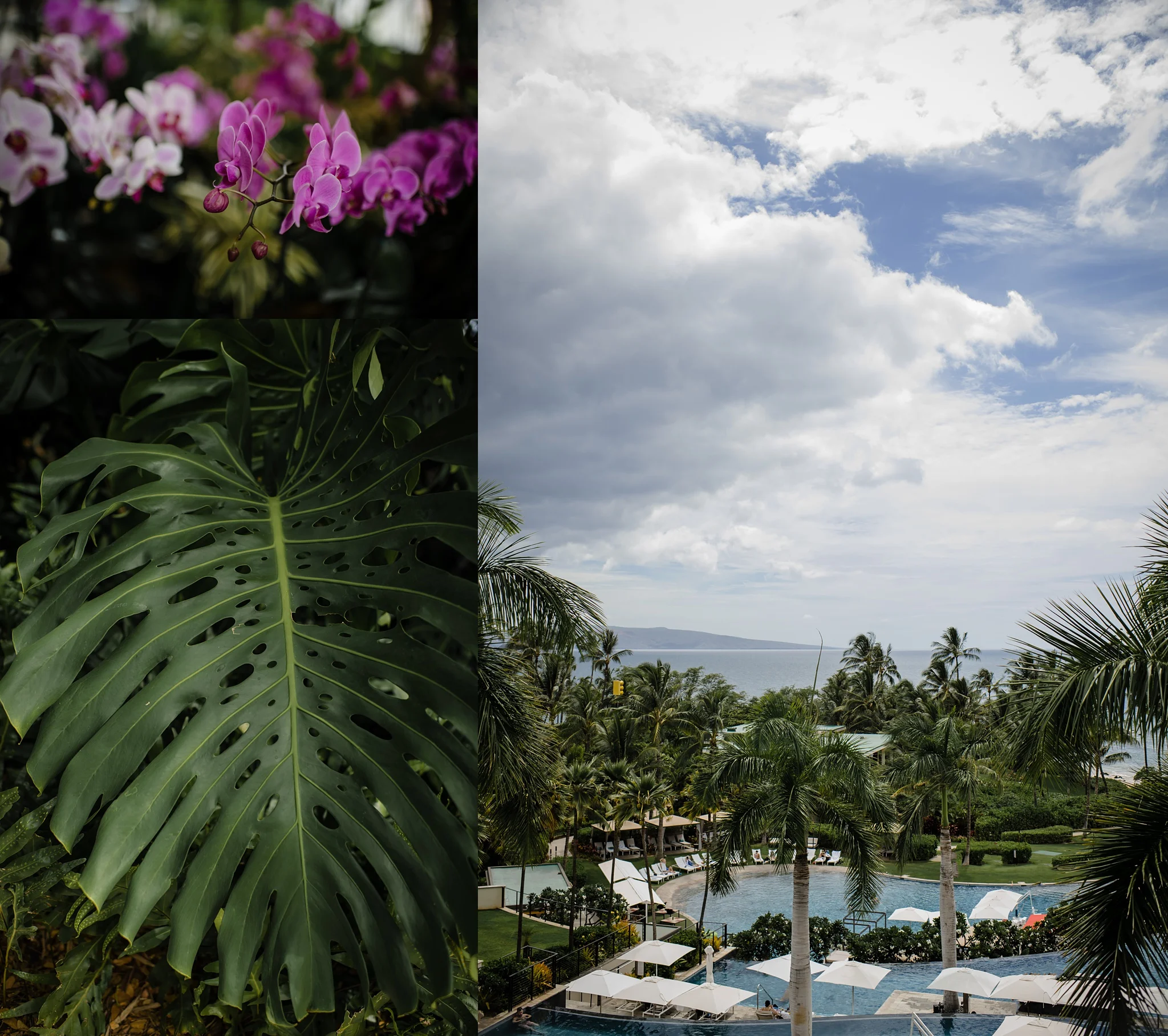 Andaz Maui in Wailea Wedding