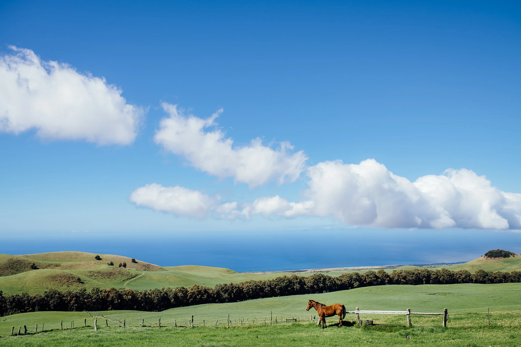 Kahua Ranch on the Big Island Wedding Venue