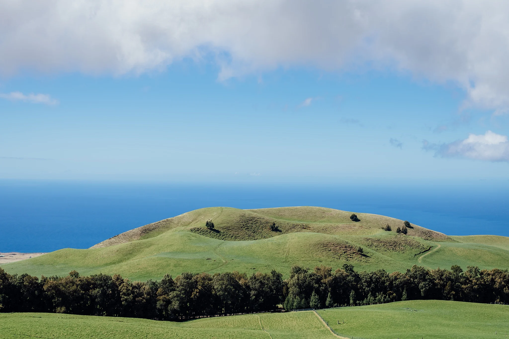 Hawaii Ranch Wedding at Kohala on the Big Island
