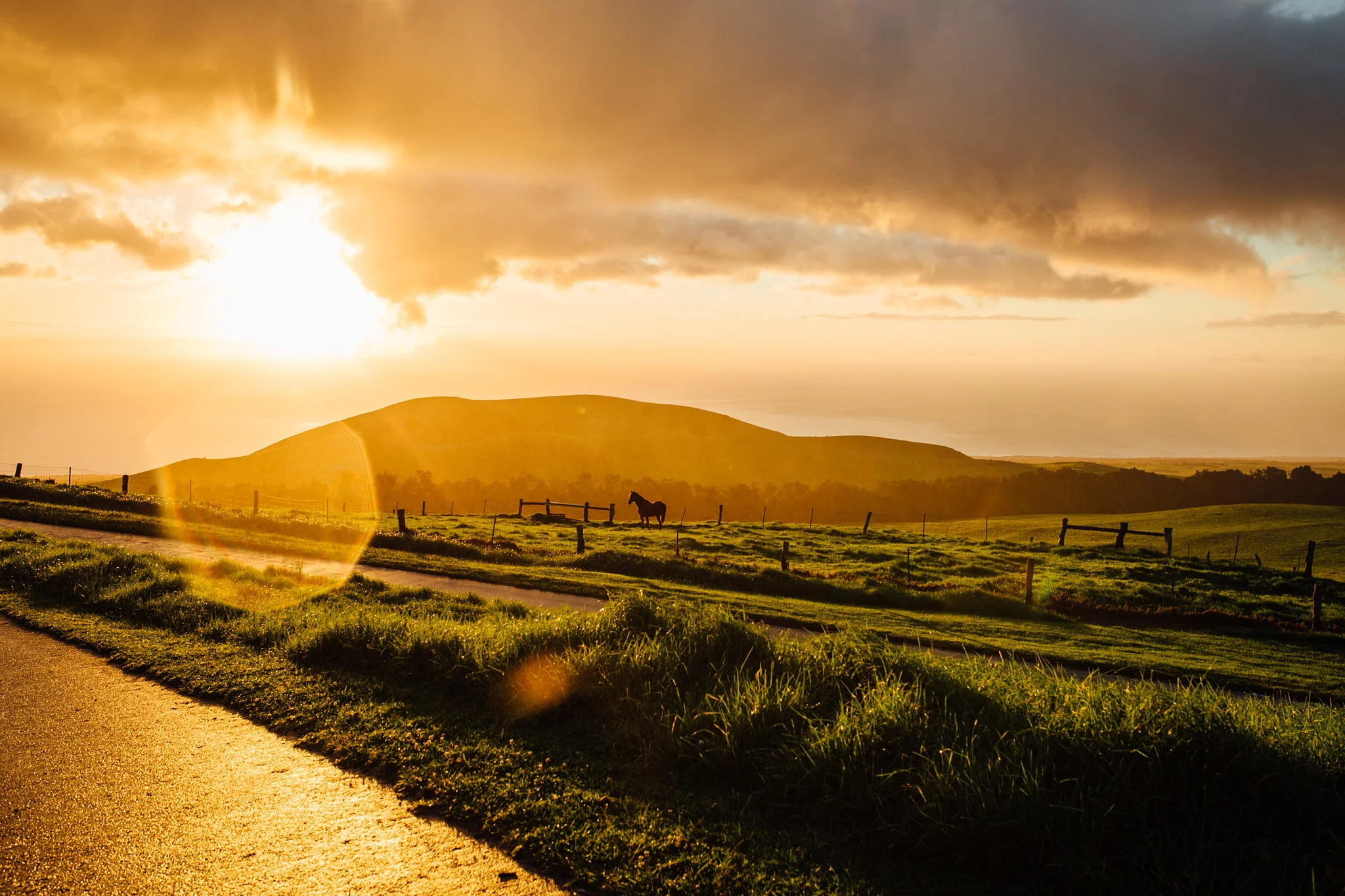 ranch wedding on the big island