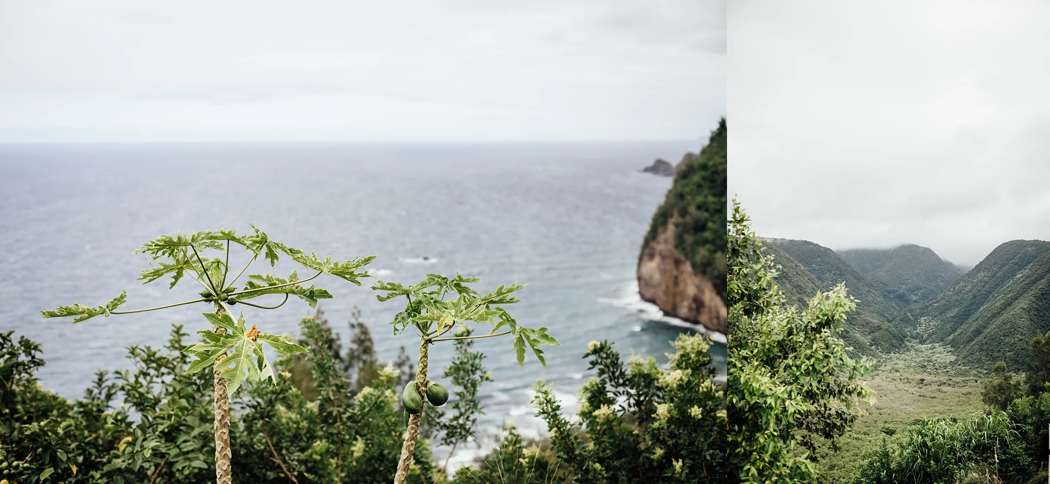 Pololu Valley Big Island Photographer