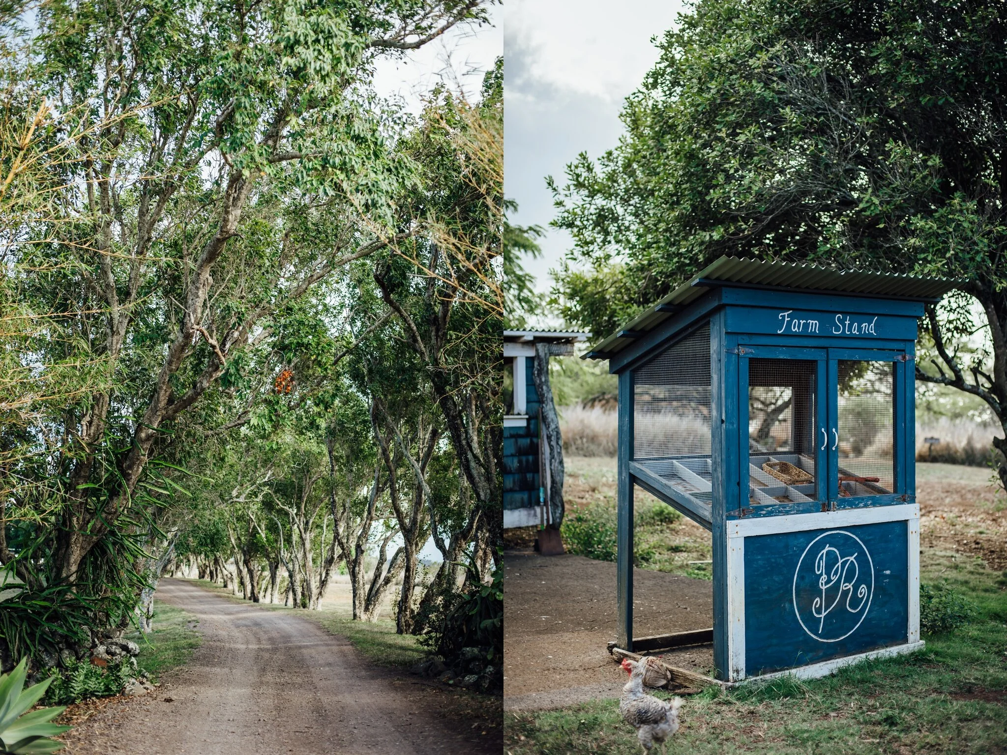 Puakea-Ranch-wedding-hawi-big-island