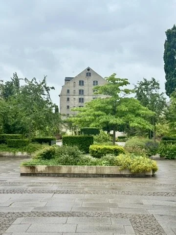 234D095E-D85B-4E30-88D9-902396C1B365_4_5005_c.jpeg
