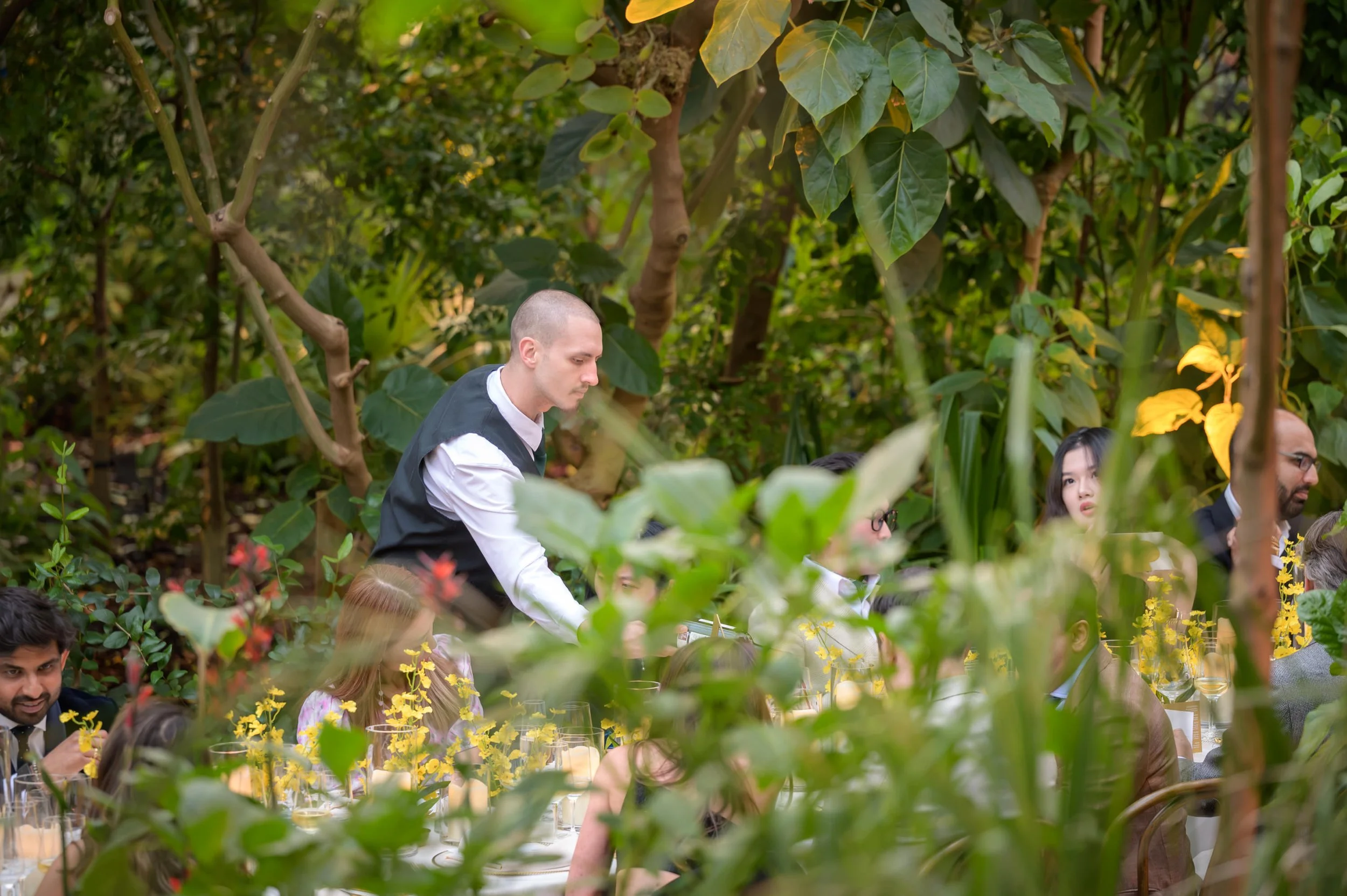 kew-241.JPG