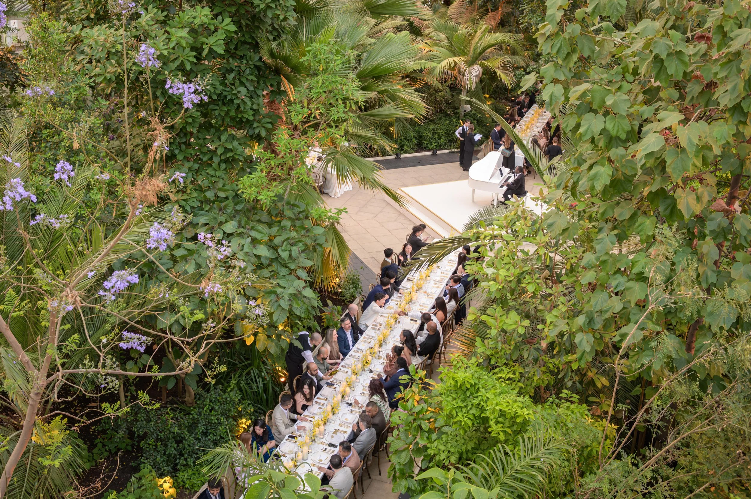 kew-237.JPG