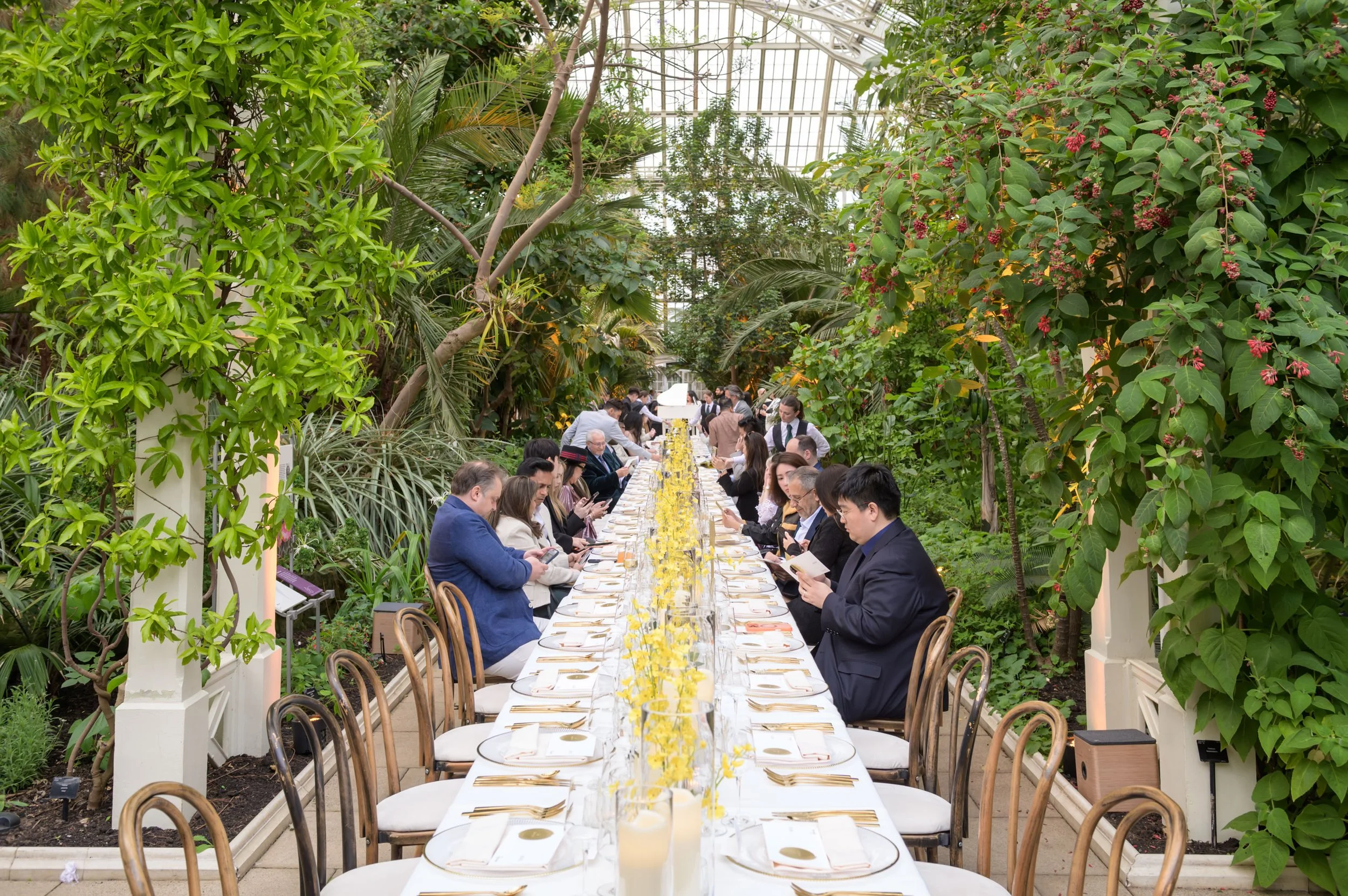 kew-217.JPG