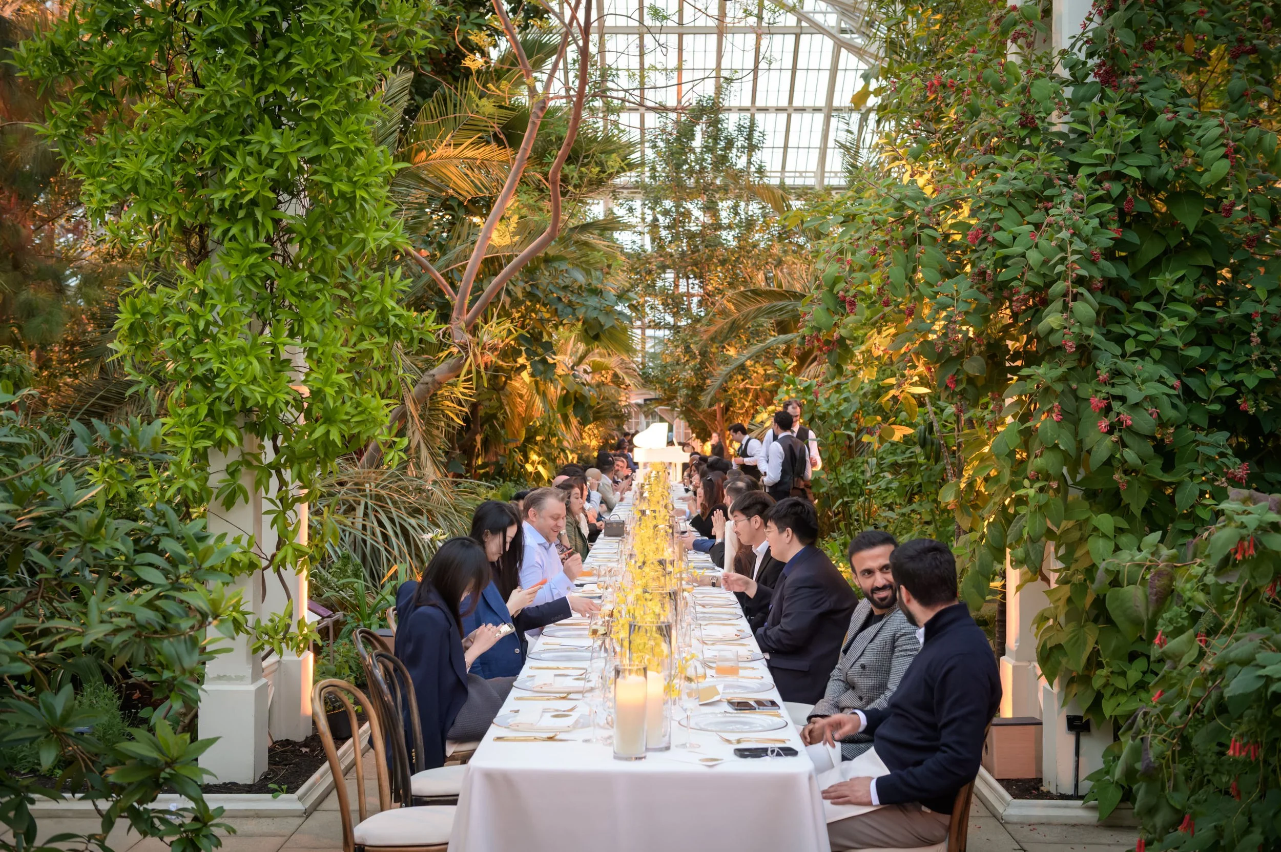 kew-266.JPG