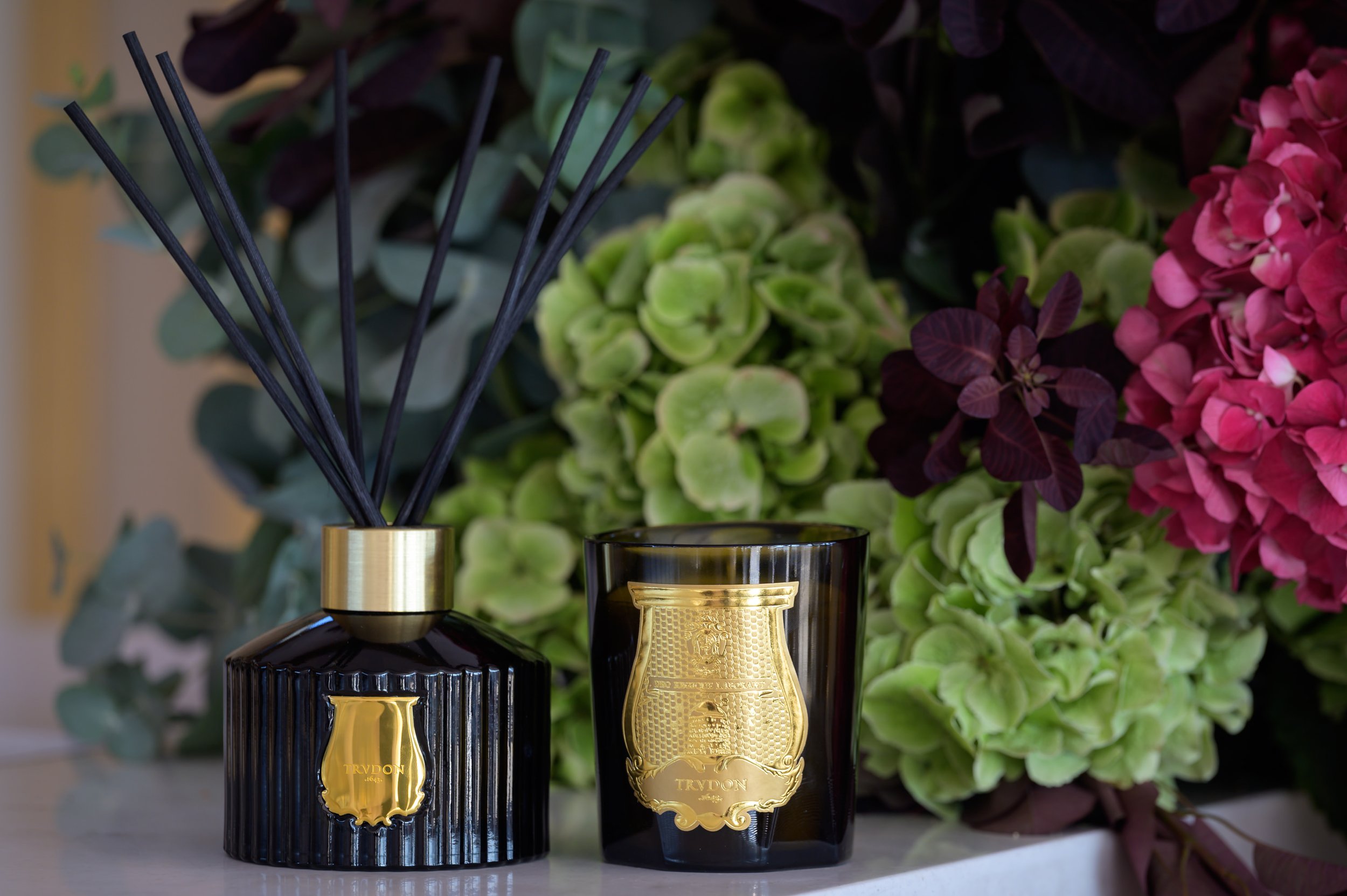 Trudon-33.JPG