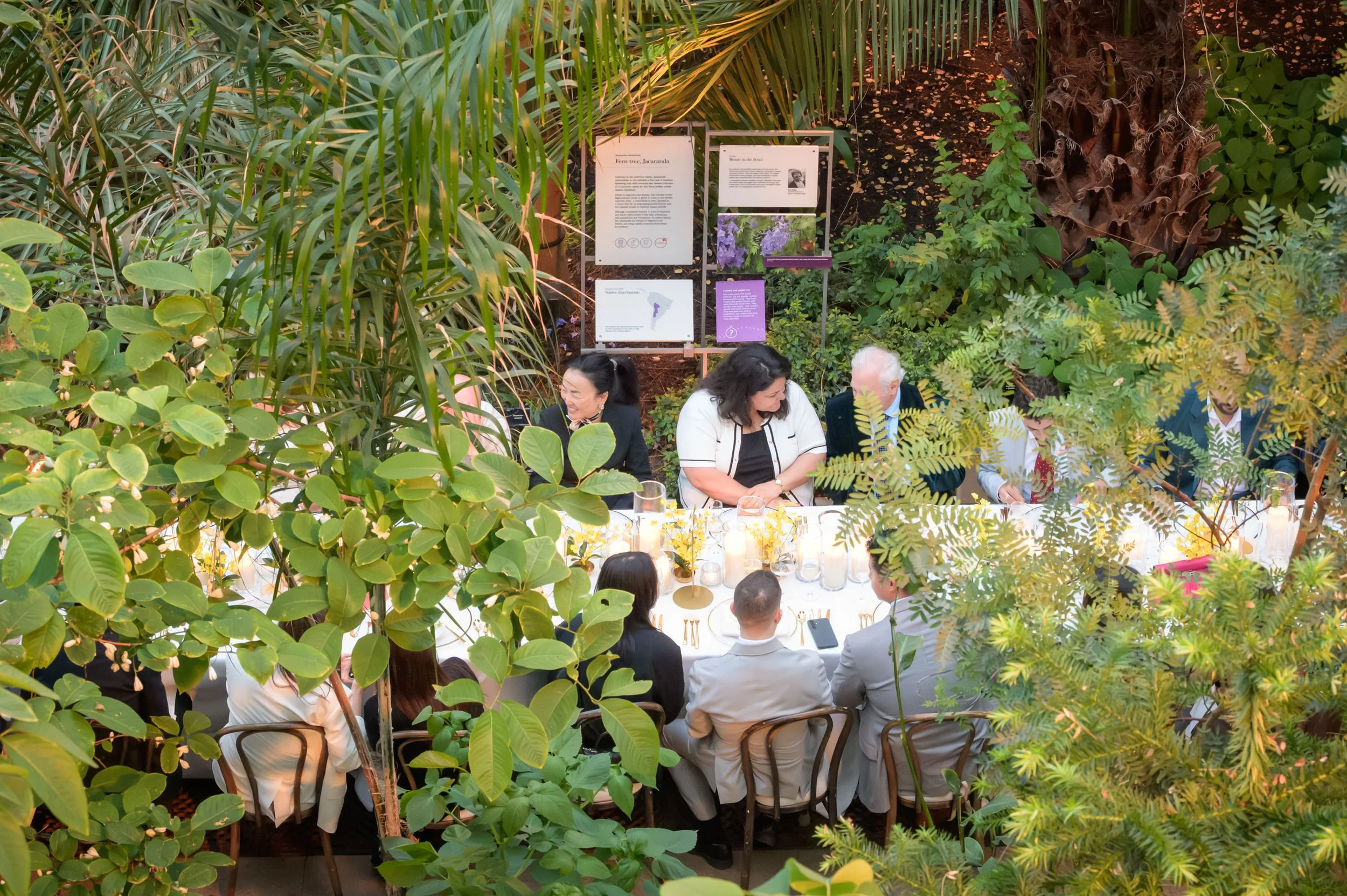 kew-260.JPG