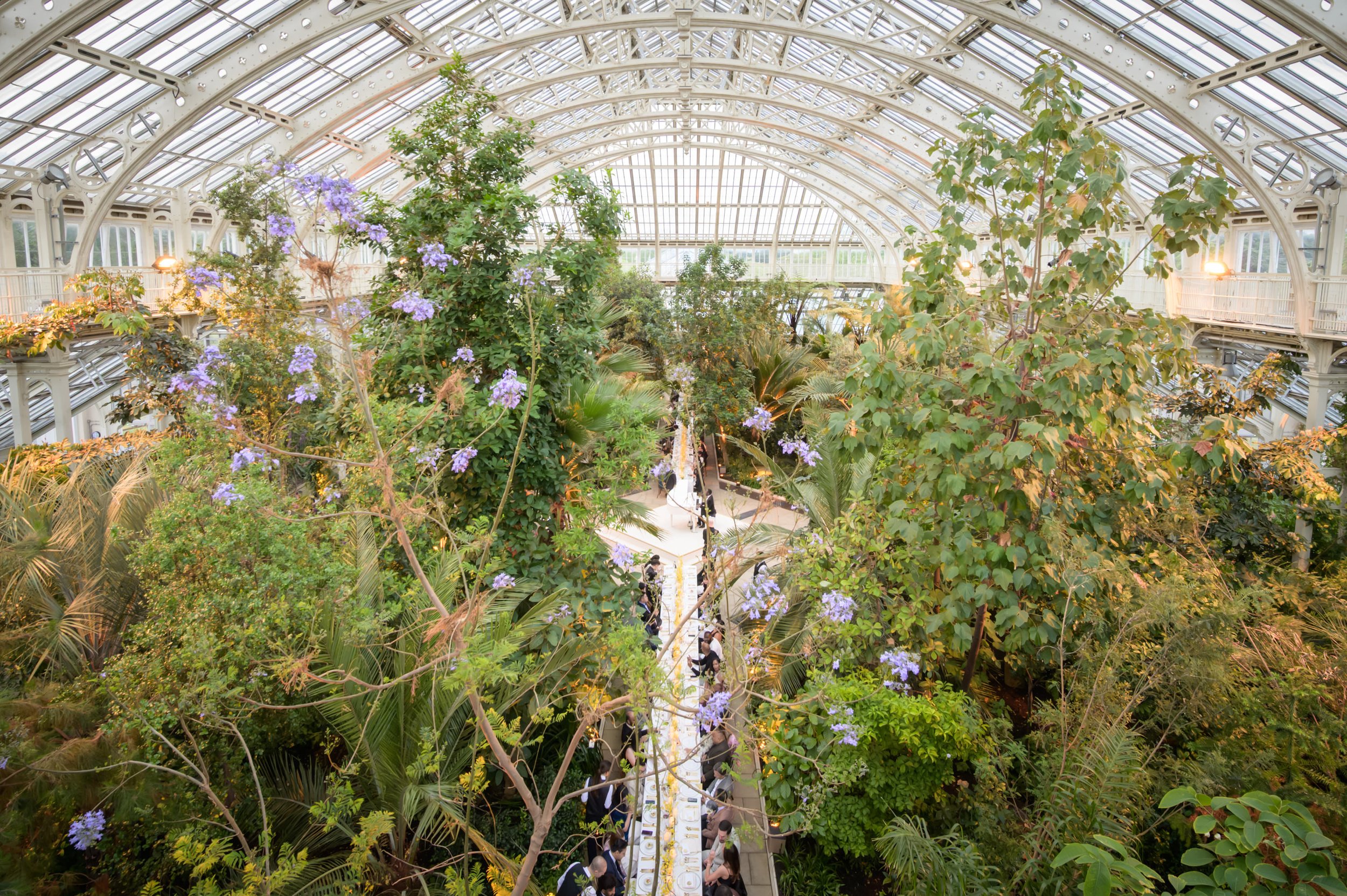 kew-247.JPG