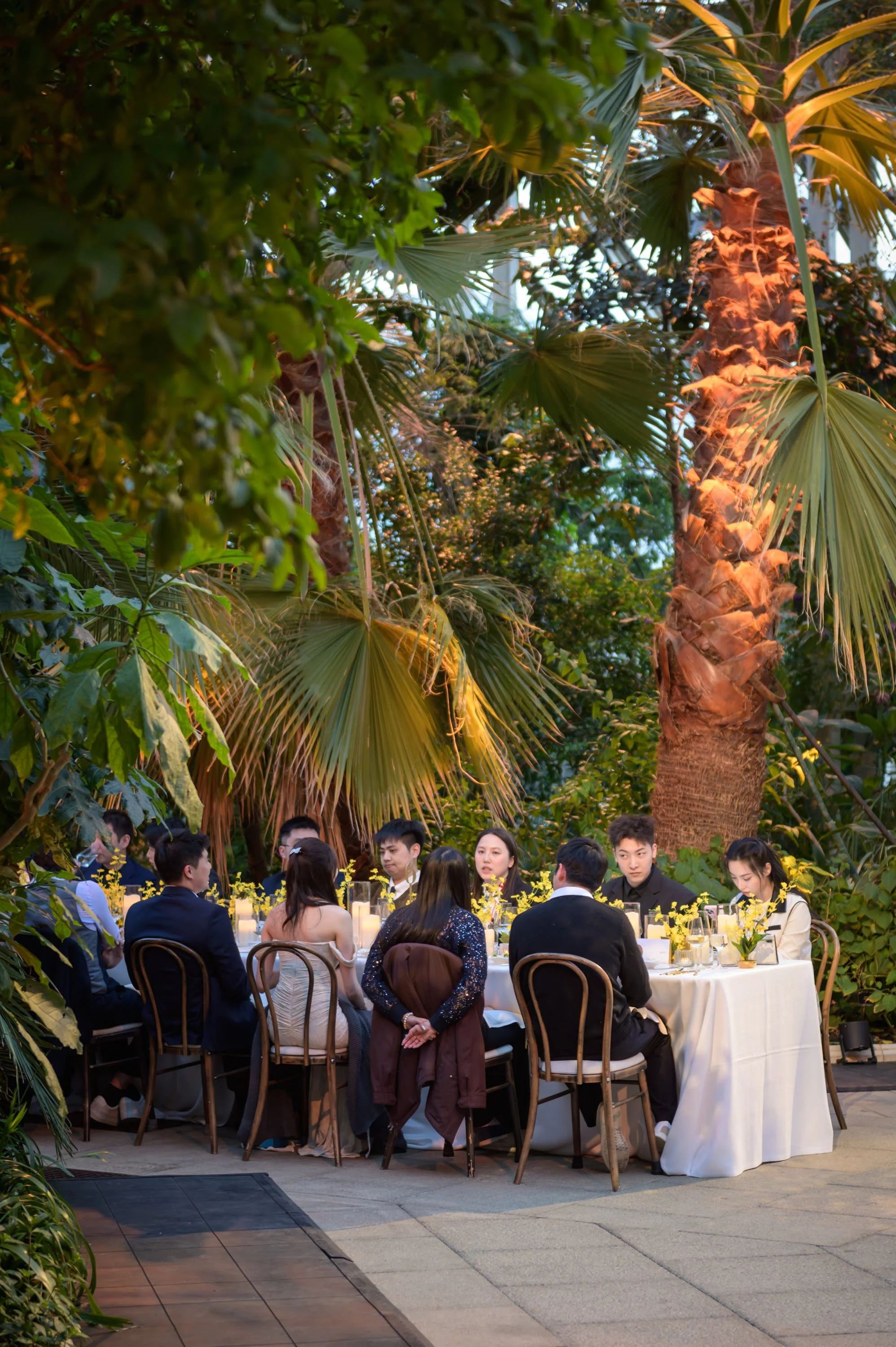 kew-261.JPG
