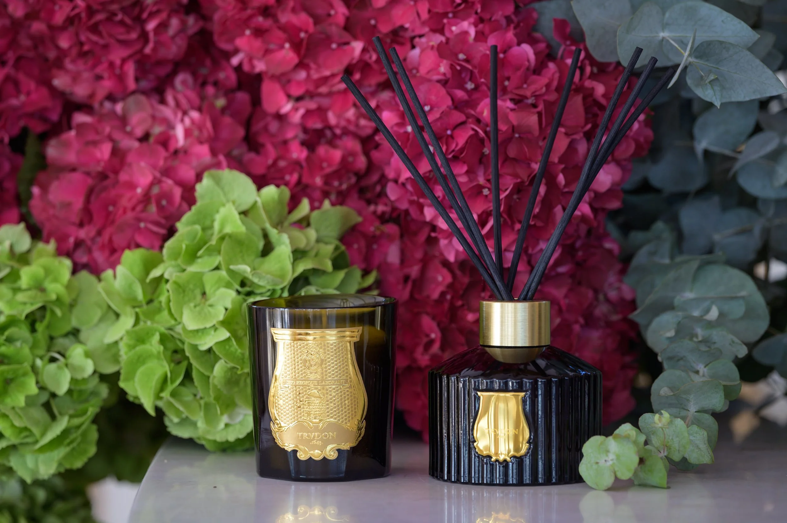 Trudon-38.JPG
