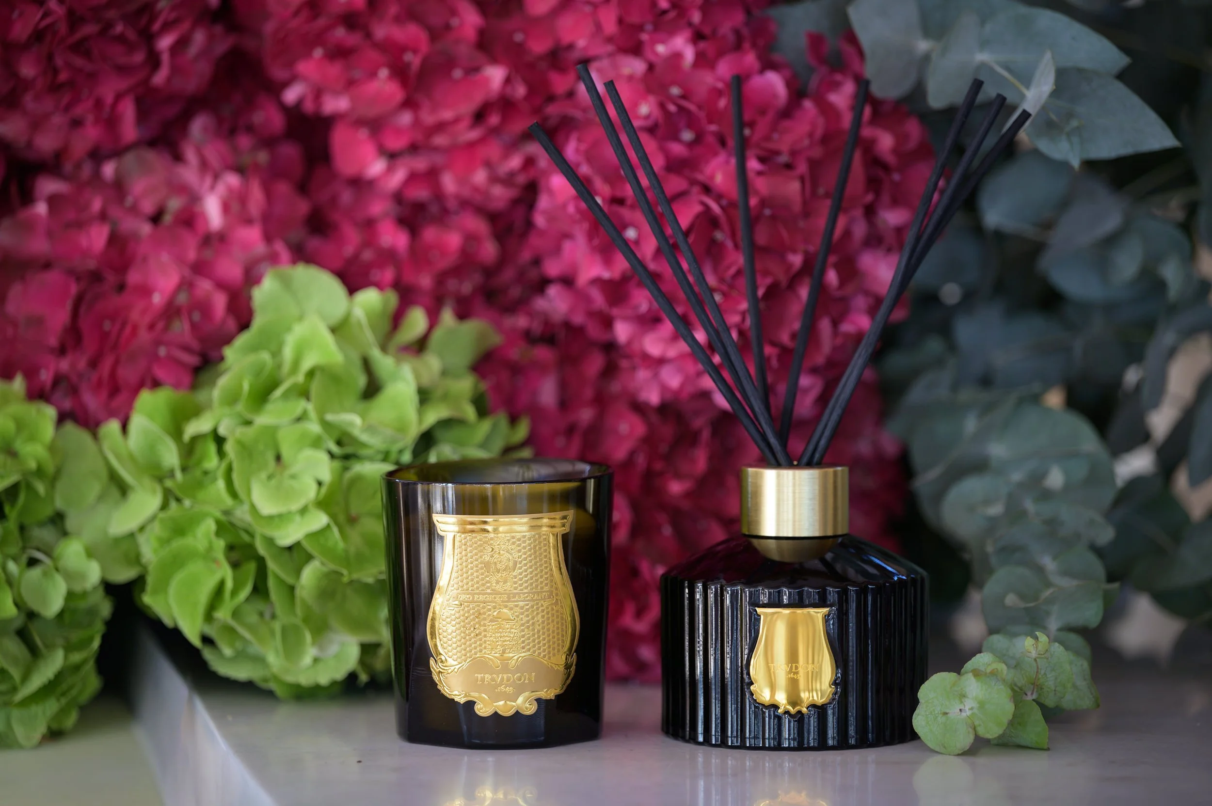 Trudon-37.JPG