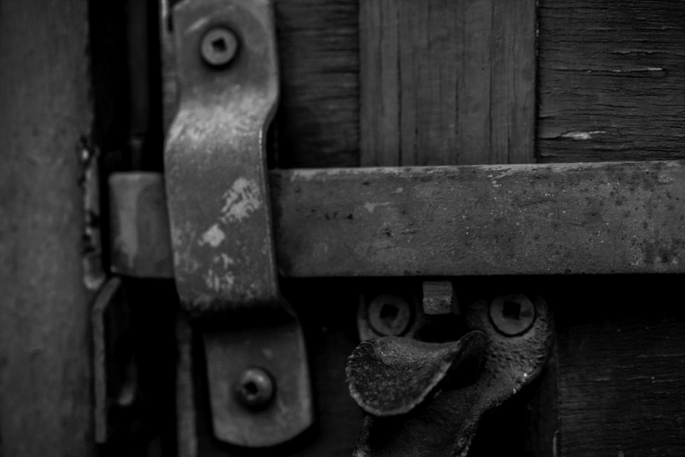 lockdown landscape andrew kirby.png