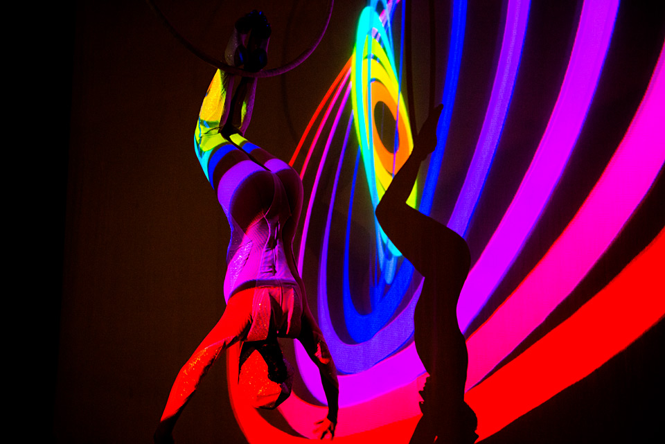 Magic Fly 3.jpg