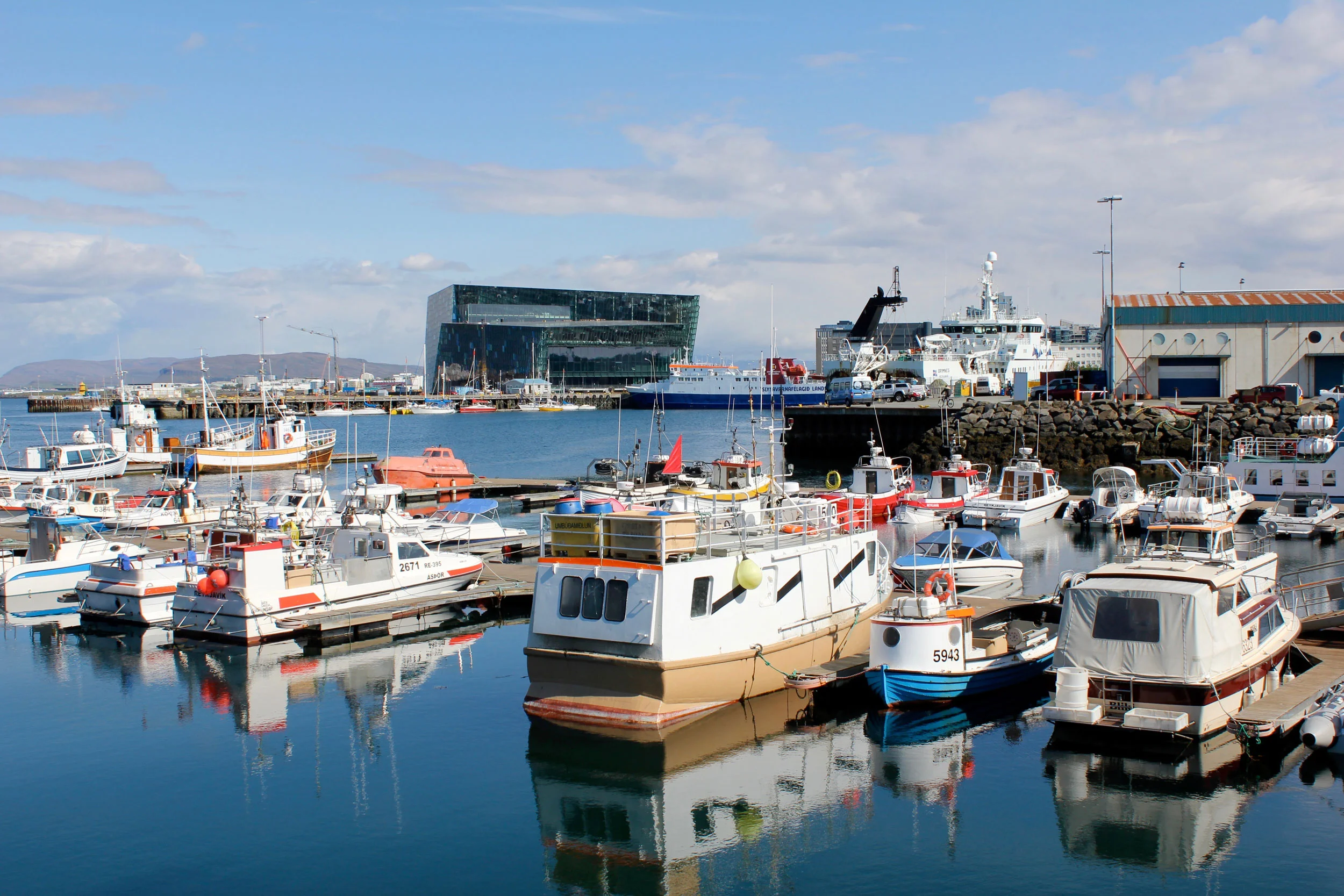 Harpa from the Harbor