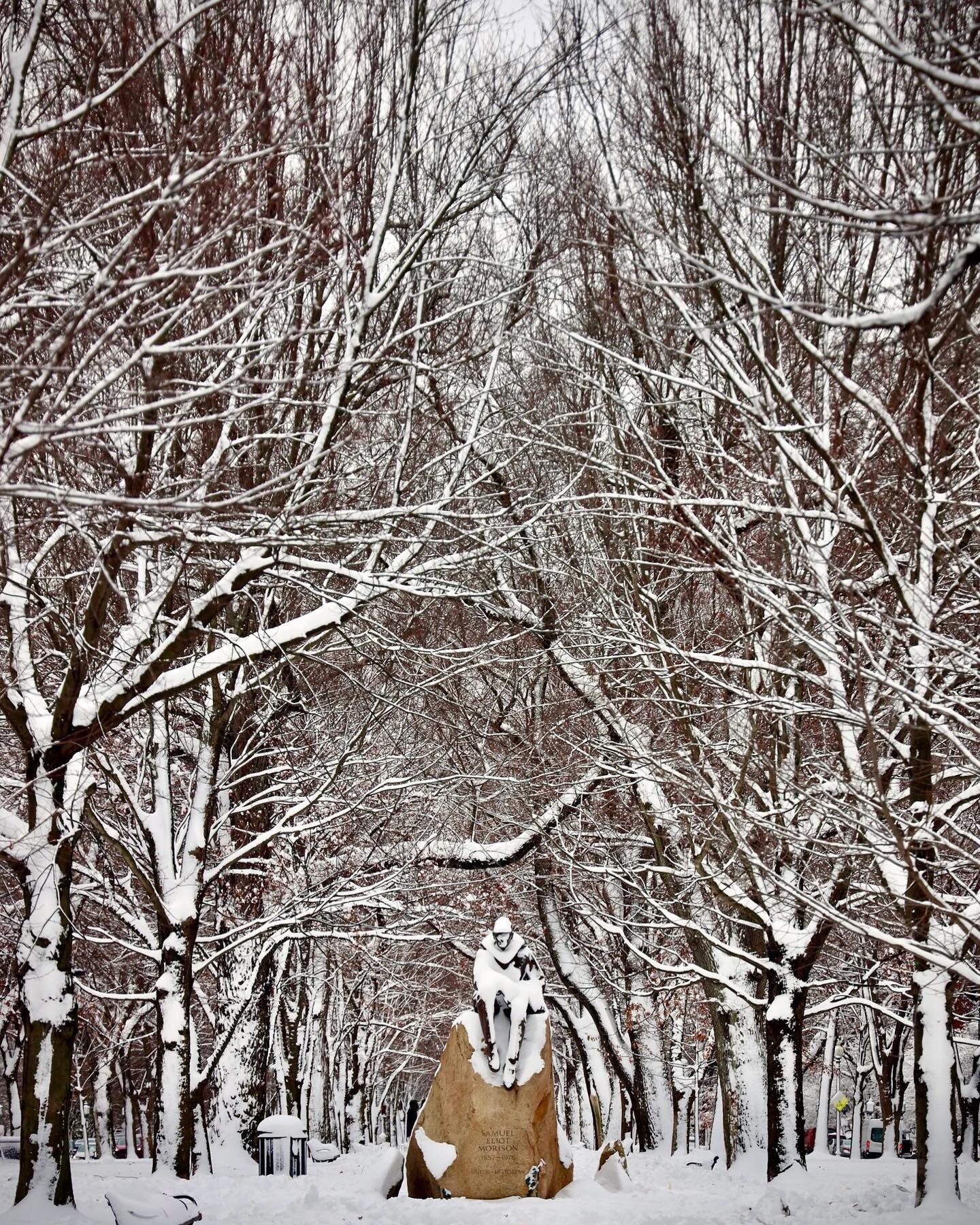 Snow Statue  #boston #snow #aftermath #commonwealthavenue #sittingstatue #contemplative #morison