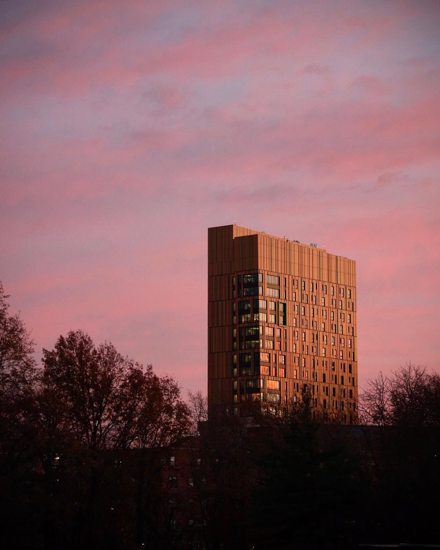 Tree House  @massartboston #treeoflife #artresidence #colorfulliving #tower #fenway #avenueofthearts #boston