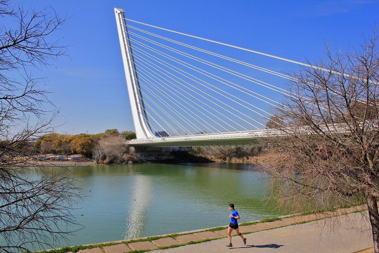 Bridge Bank  @calatravaofficial #tbt #alamillobridge #guadalquivirriver #structure #sculpture #sevilla #rotchtravel_ck