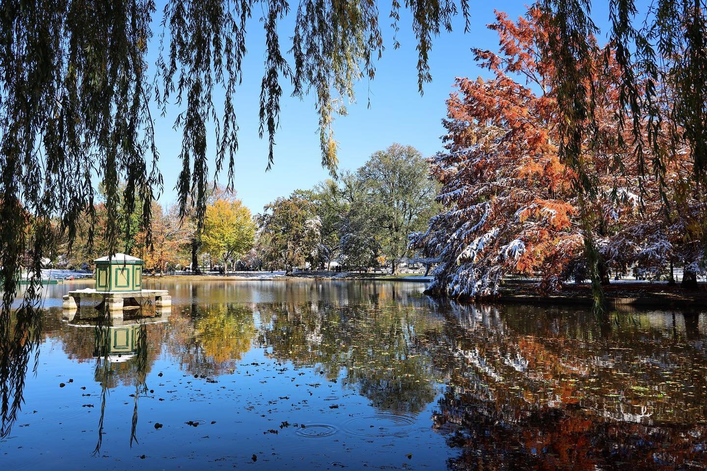 Boston&rsquo;s Backyard @bostonpublicgarden #weekendpics #framedview #lagoon #fallcolors boston #boston_igers