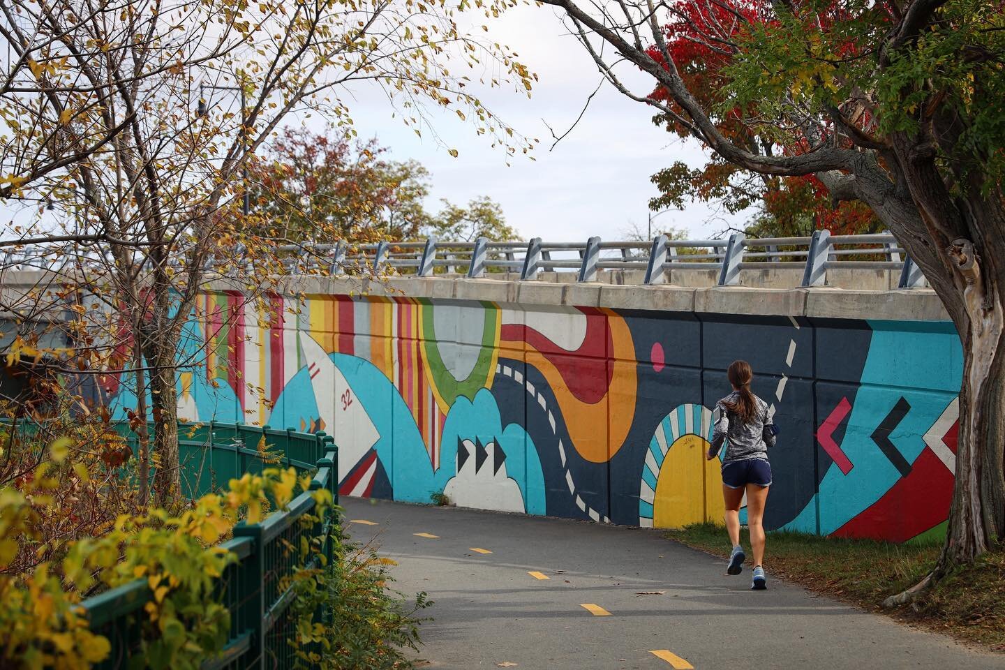 Patterned Path  @silvialopezchavez #patternedbehavior #muralpainting #publicart #charlesriveresplanade #bikepath @now_and_there @esplanadeinboston