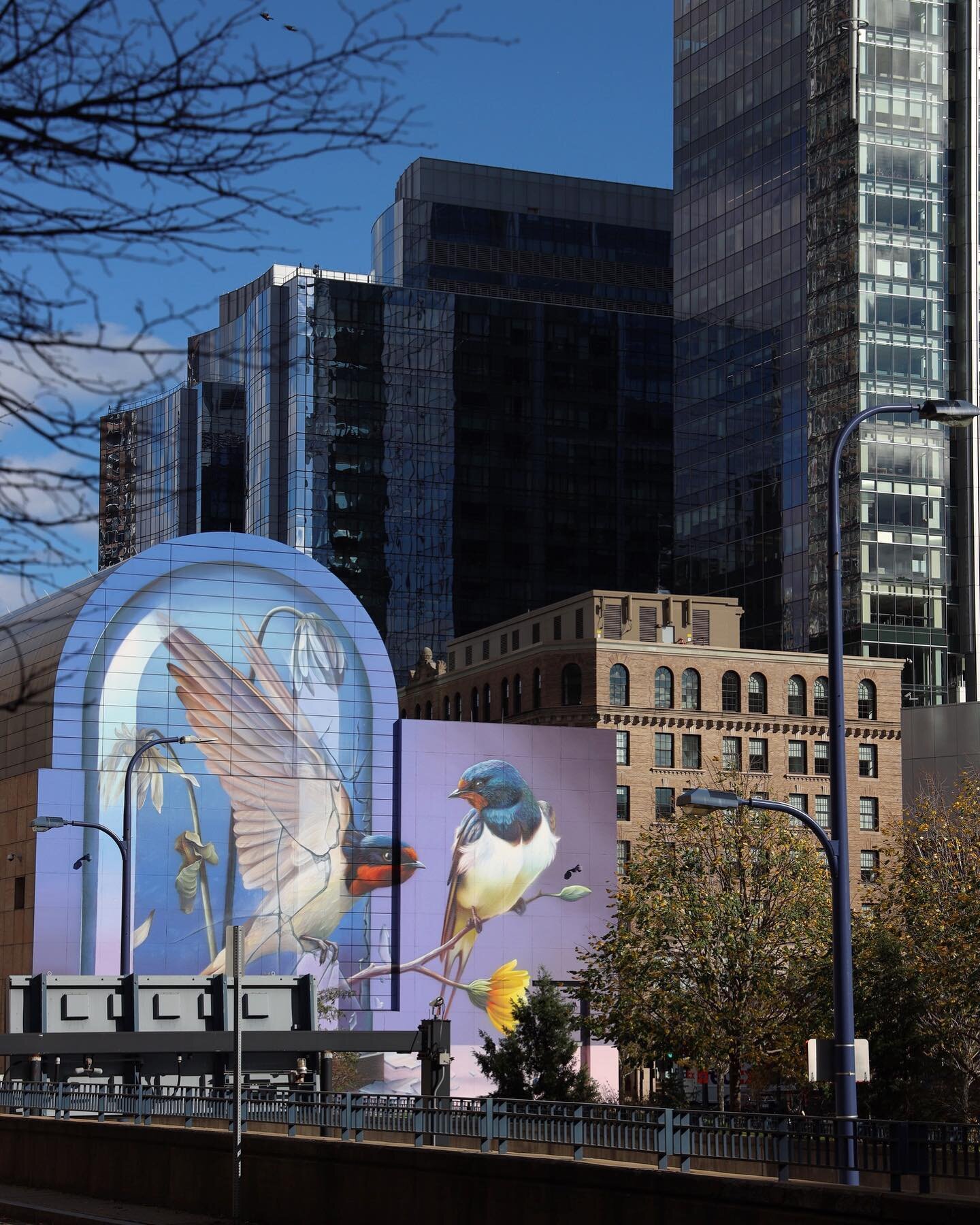 Urban Resonance  @mr.super_a @rosekennedygreenway #mural #swallows #breakingfree #freedom #publicart #greenway #boston