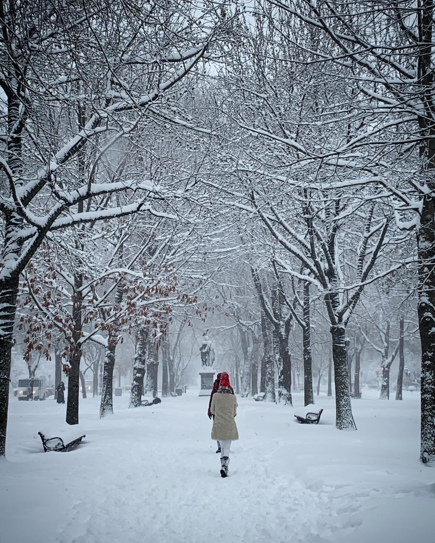 Snow Day  @cityofboston #snowstorm #boston #snowshoeing #coldtherapy #urbandweller #fluffy #white #stuff