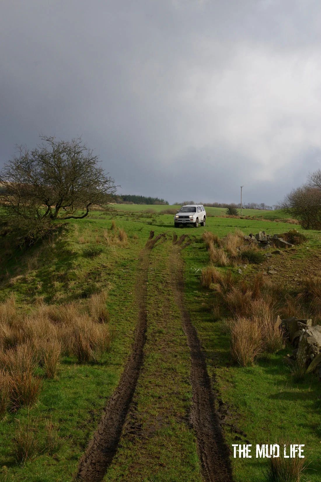 Photos never make it look as steep as it actually is!