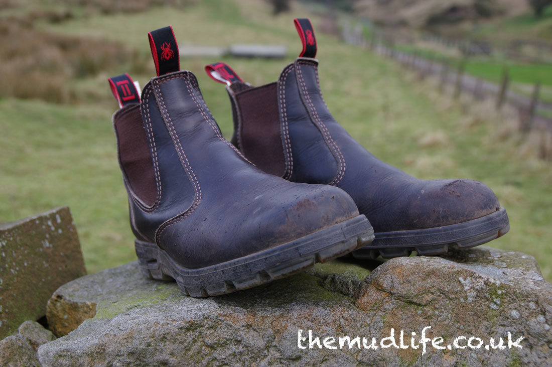 redback bonsall boots