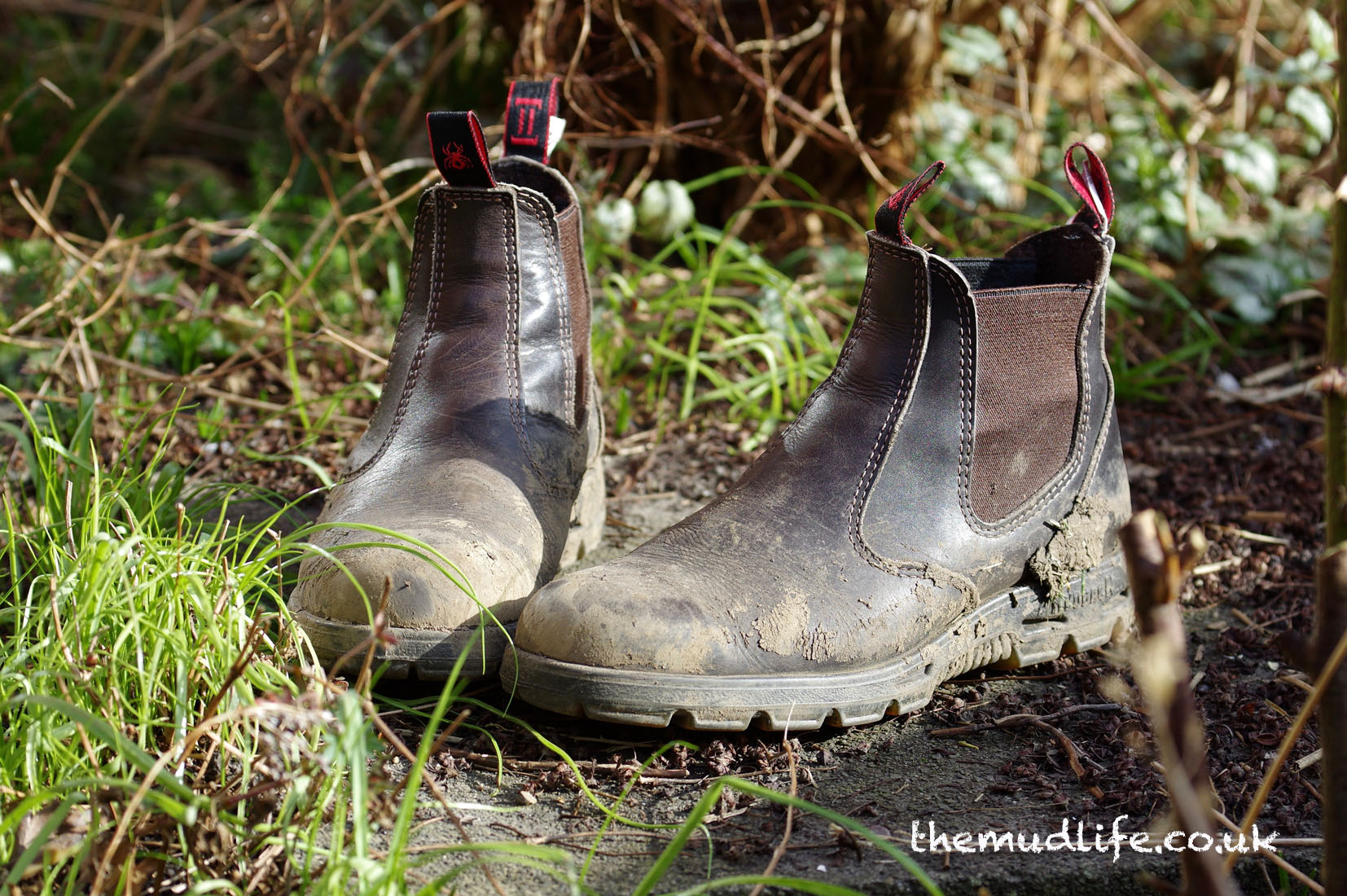 Redback Boots — Product Reviews — The 