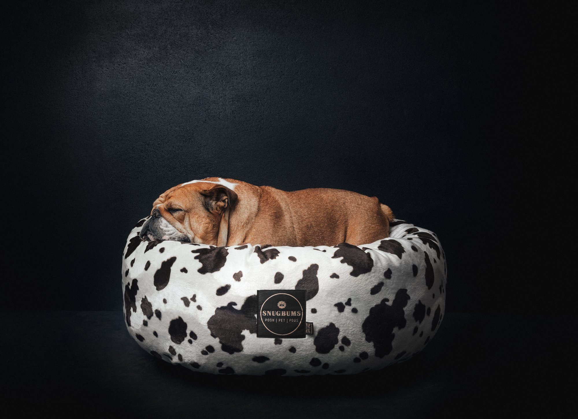 Cow Print Luxury pet bed.jpg