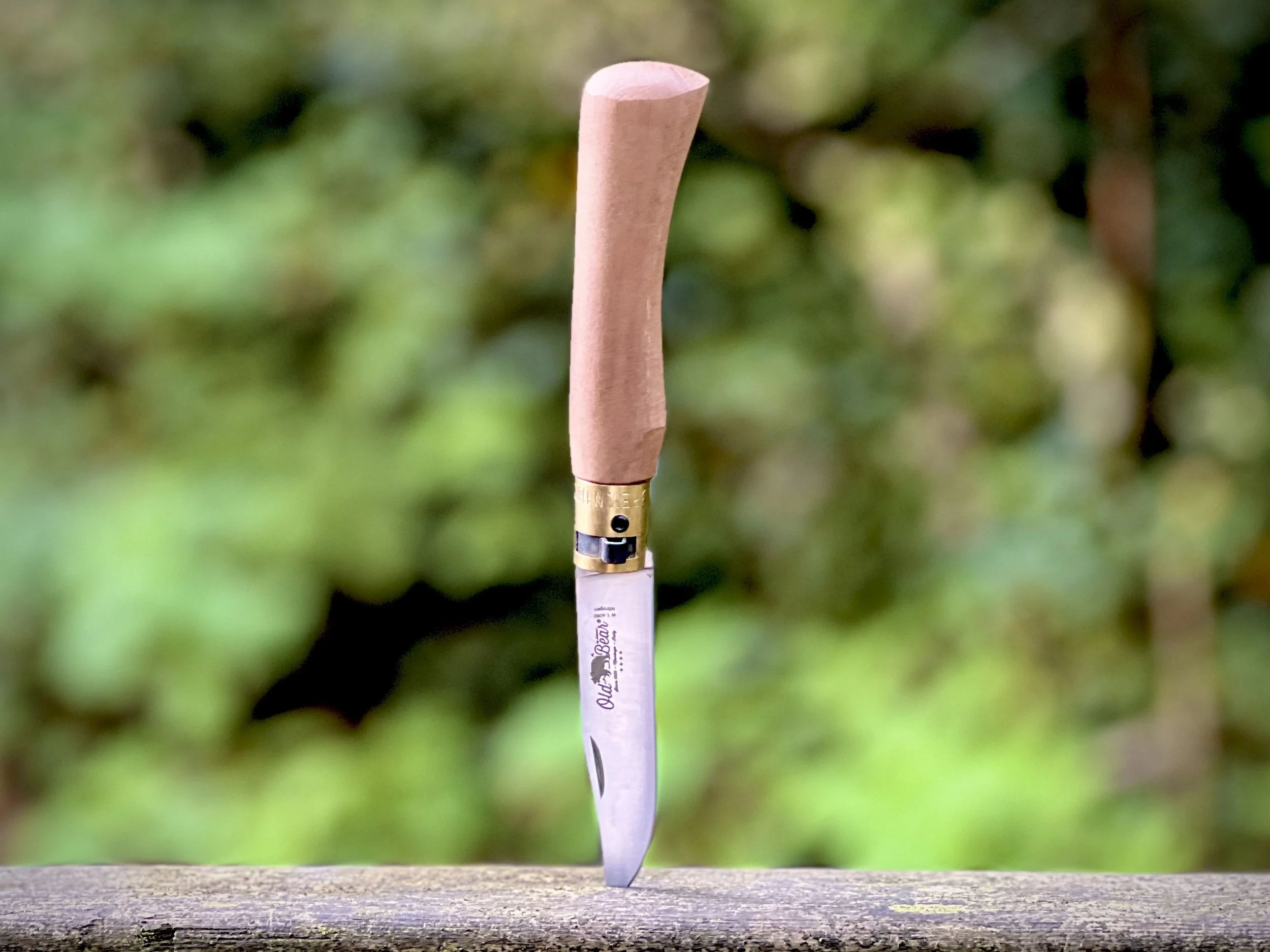 Antonini Old Bear Walnut Stainless Folding Knife