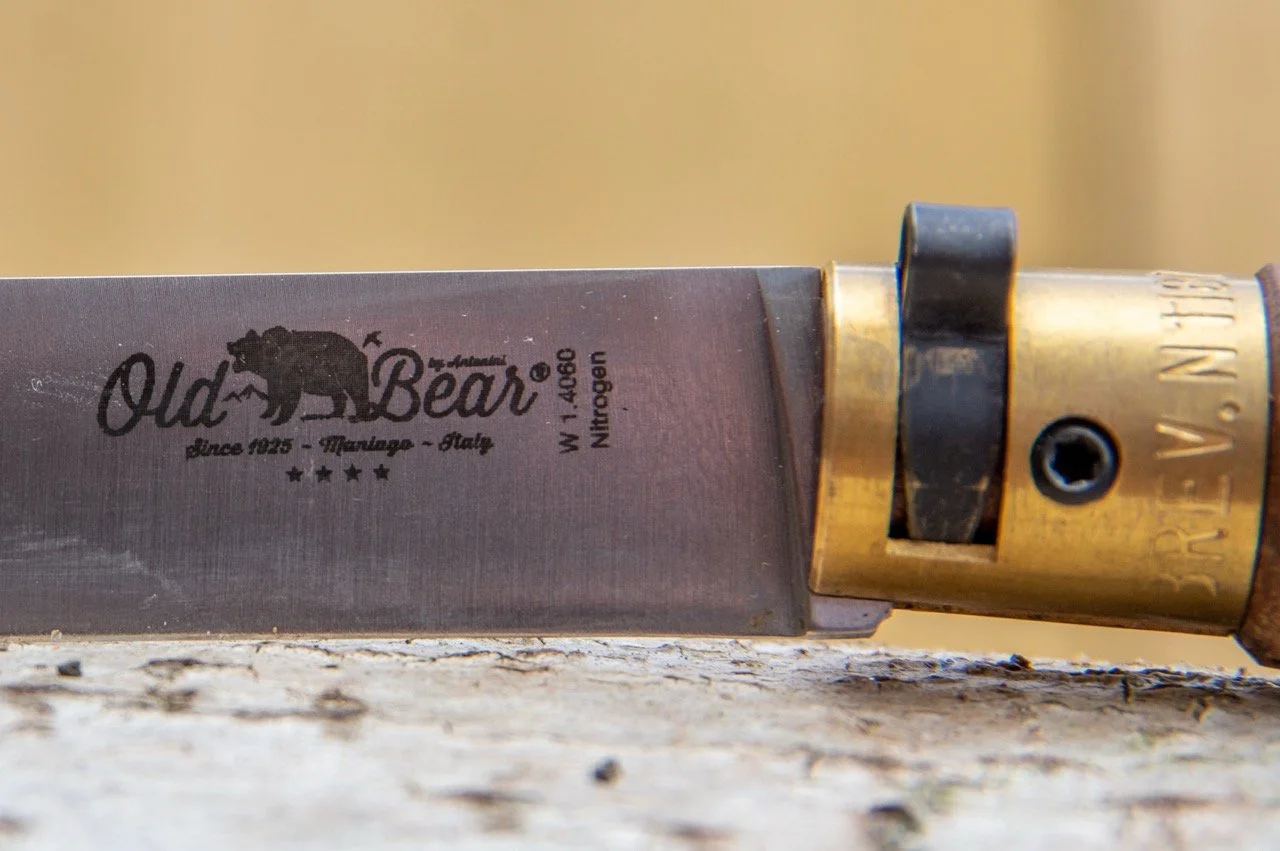 Antonini Old Bear Walnut Stainless Folding Knife
