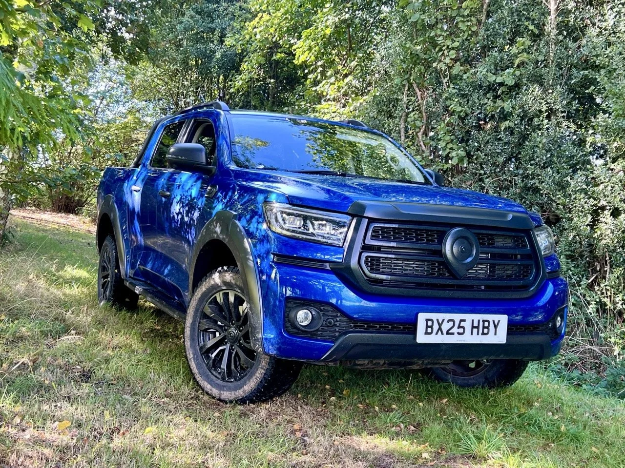 2025 GWM Poer300 off-road