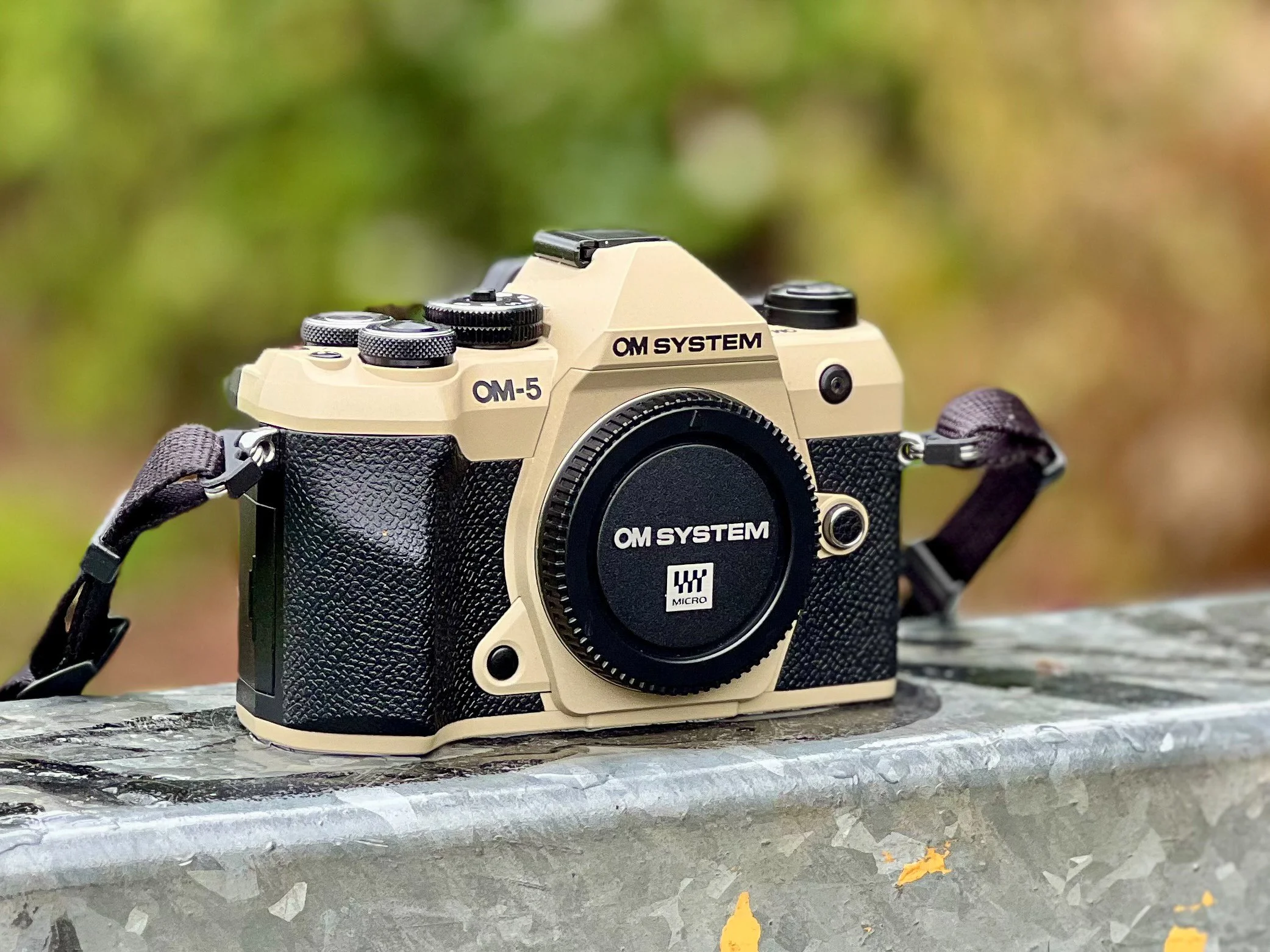 OM System OM-5 Mark II: Two Months On – Final Thoughts