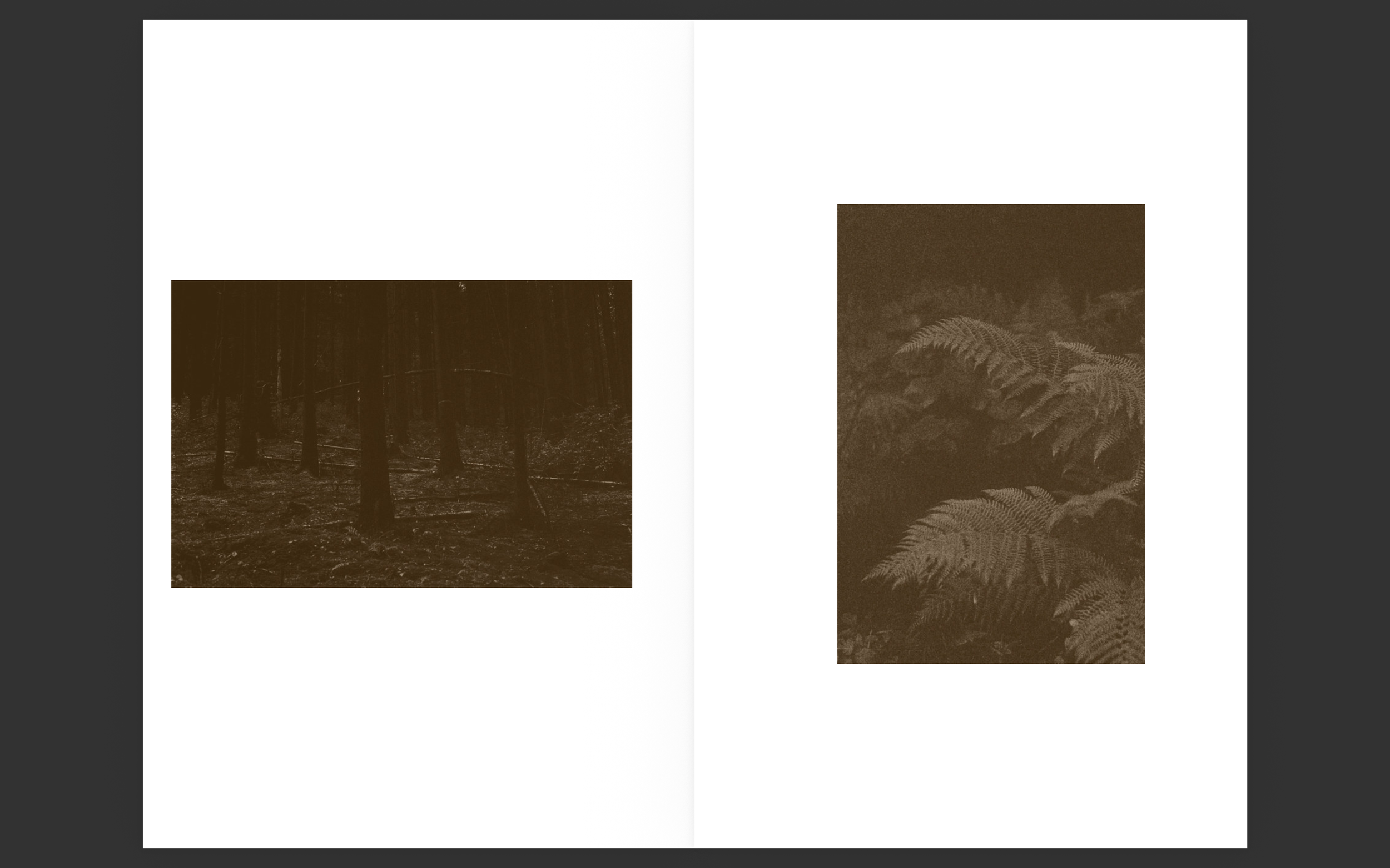 Screenshot 2026-05-01 at 22.41.41.png