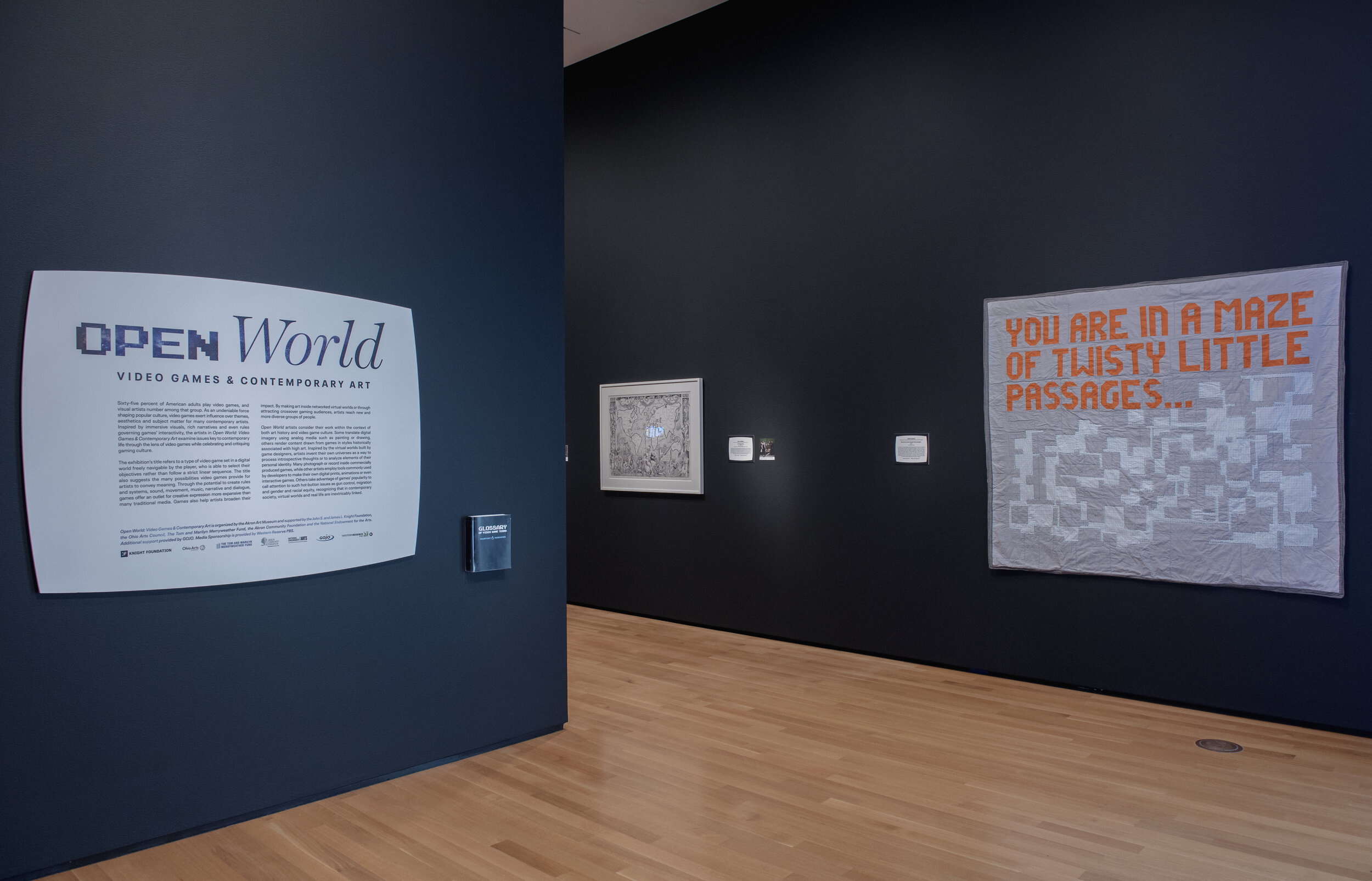 Installation View of Open World