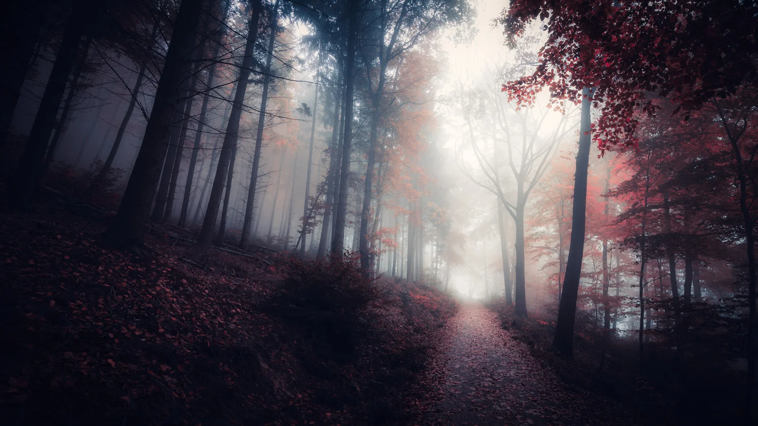 Farben im Nebel
