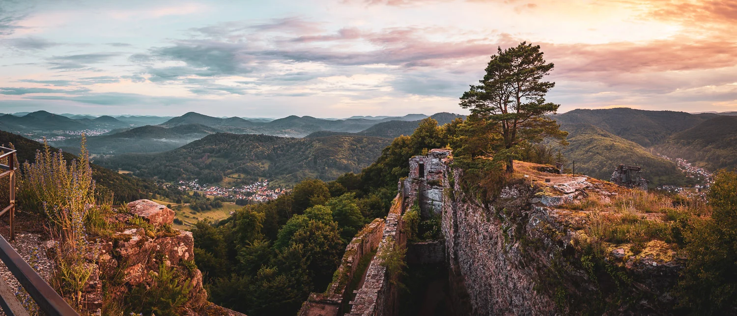 20190622_5K2A0507-HDR-Pano.jpg