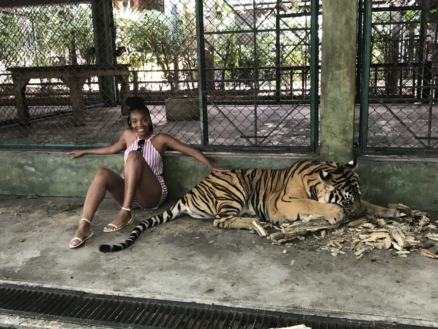 Thailand 3.jpg