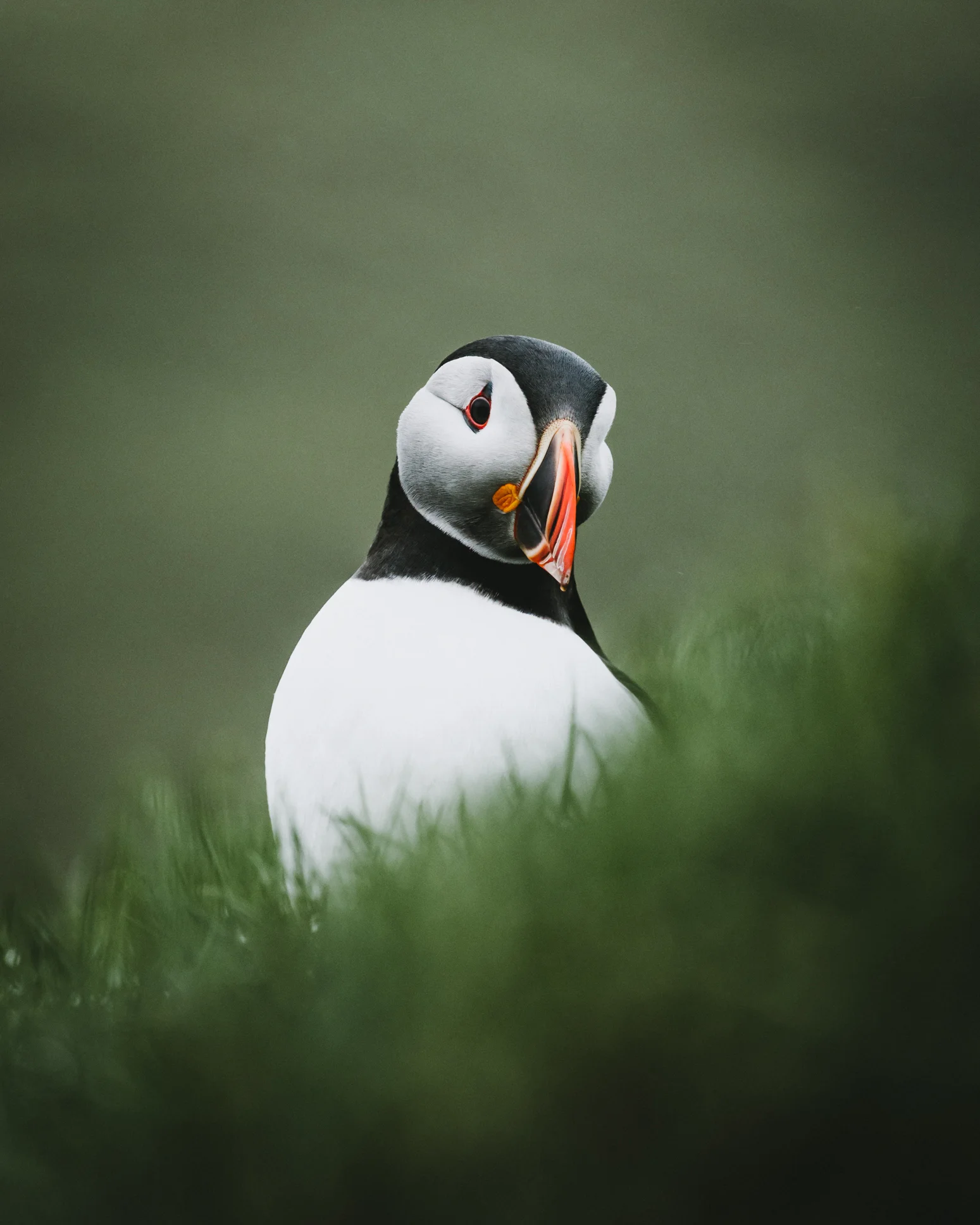 JH_BLOG_FAROE_ISLANDS-47.jpg