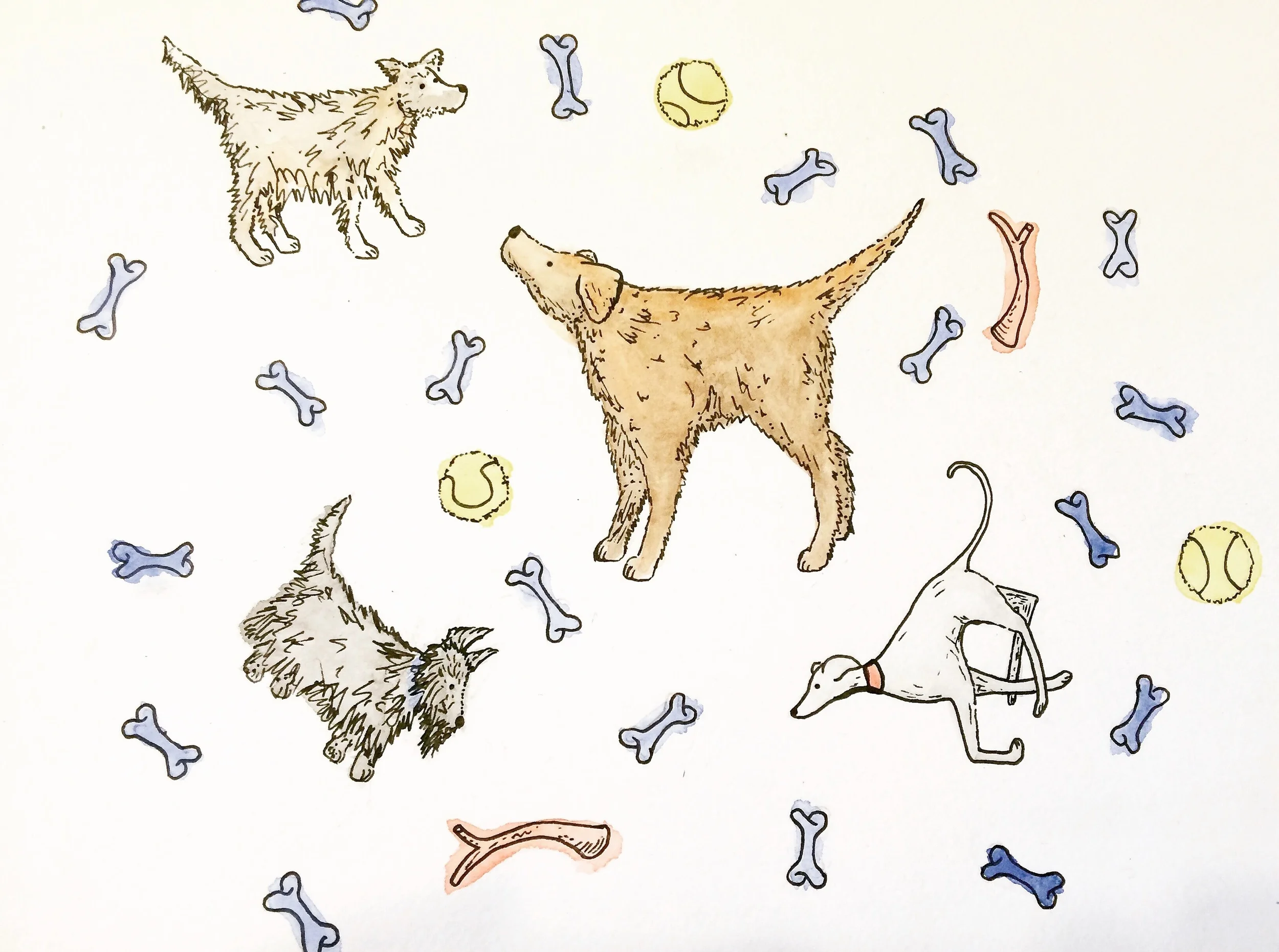 Dog print. August 2015