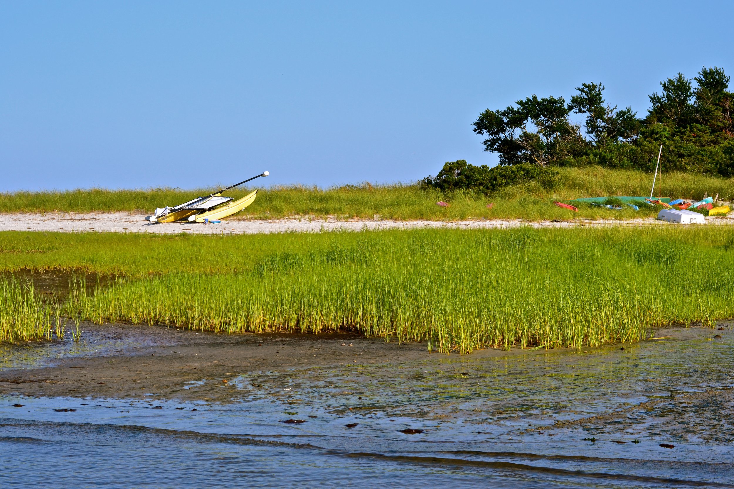 DSC_0600.JPG